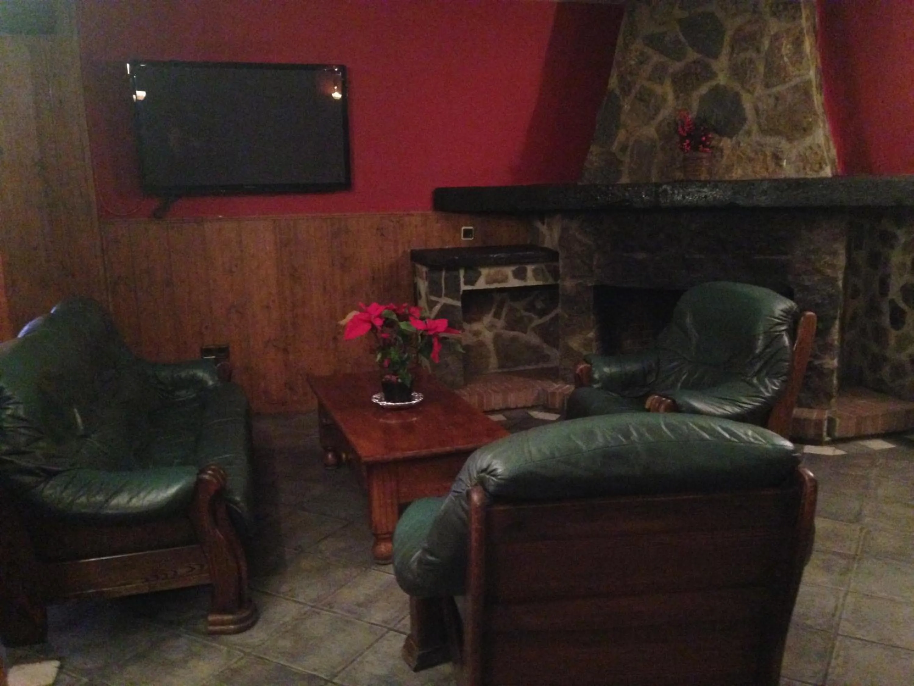 Communal lounge/ TV room in Hotel Reino Nevado