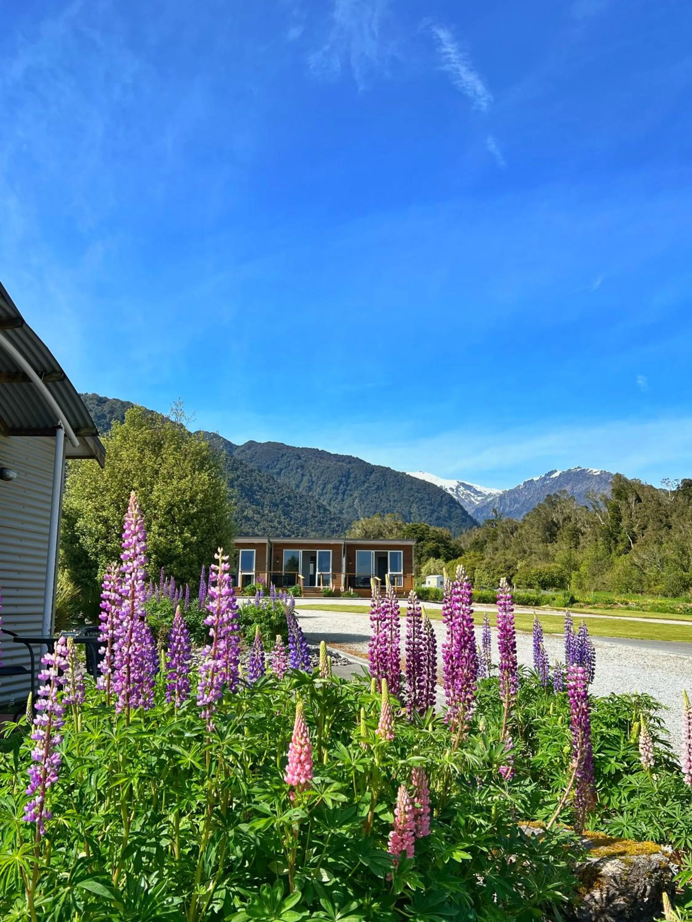 Franz Alpine Retreat