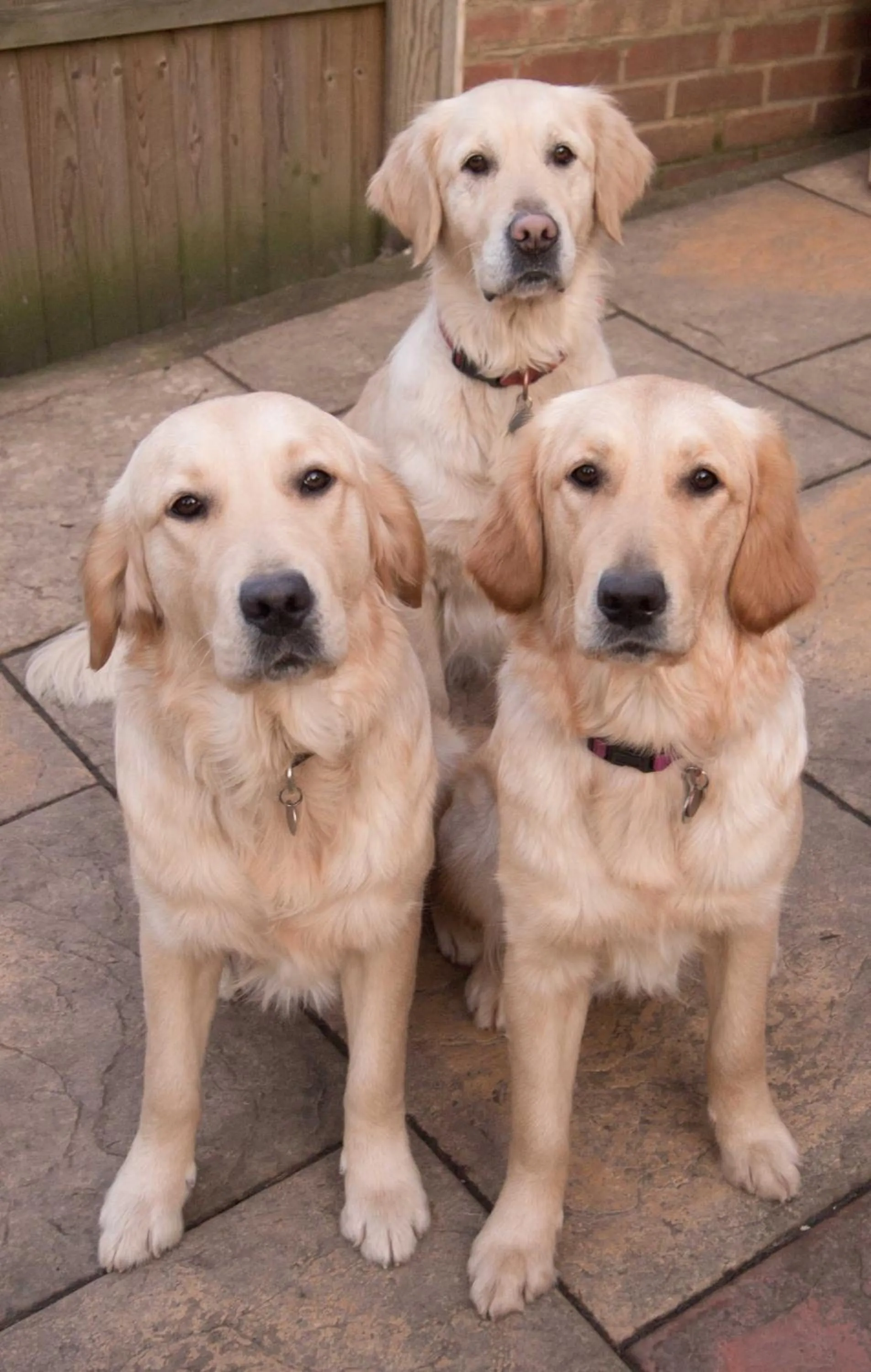 Other in Muswell Hill B&B