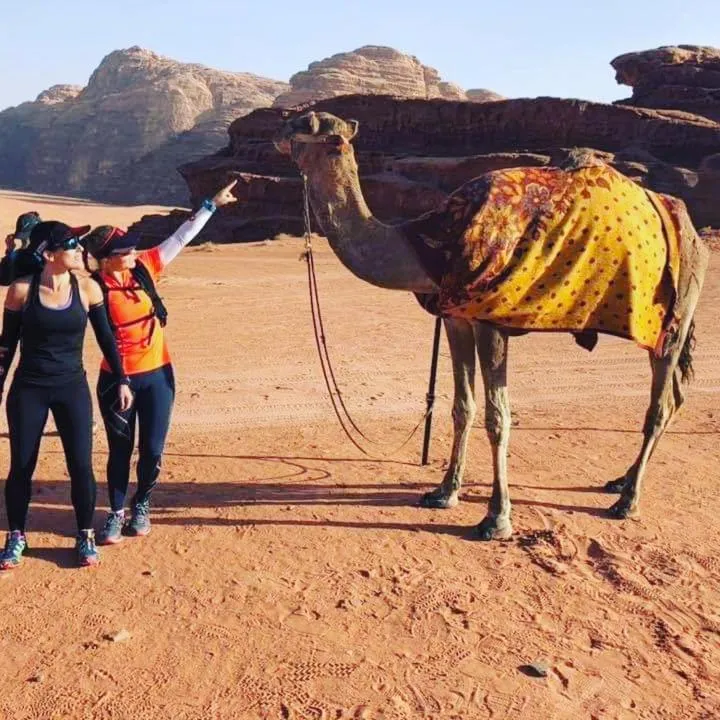 Beyond Wadi Rum Camp