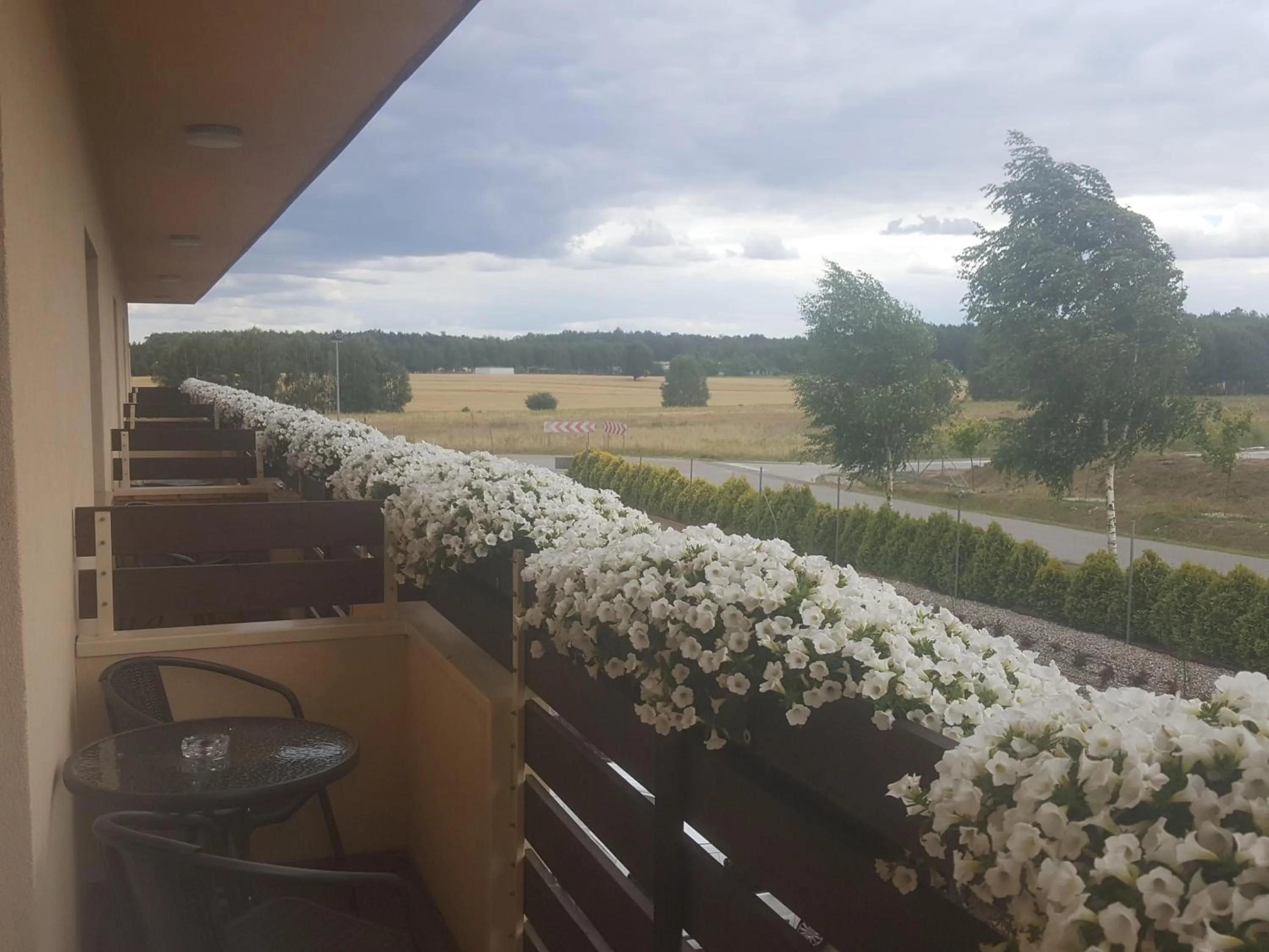 Balcony/Terrace in Hotel Fox