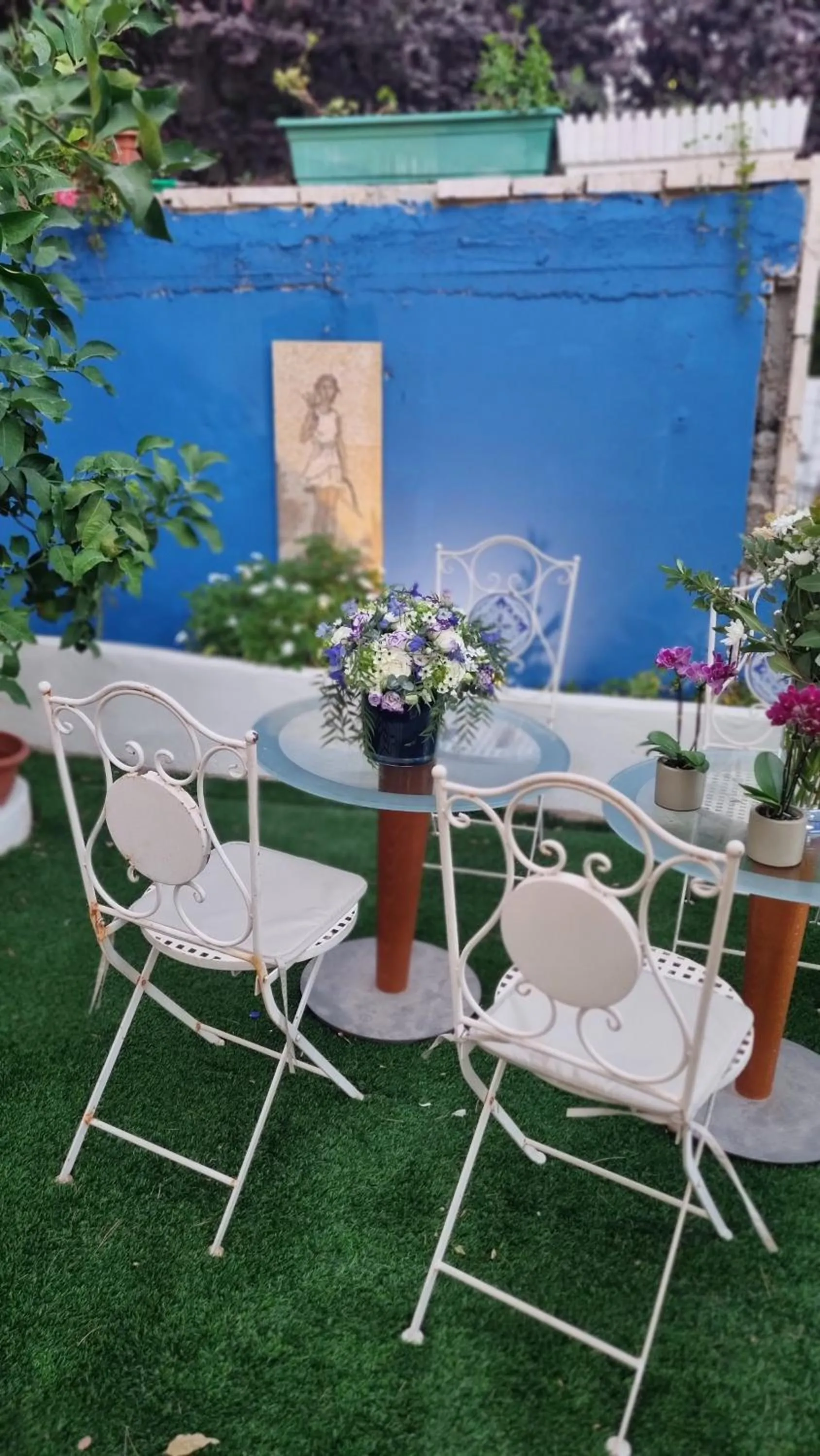 Garden in Mike's House Jerusalem