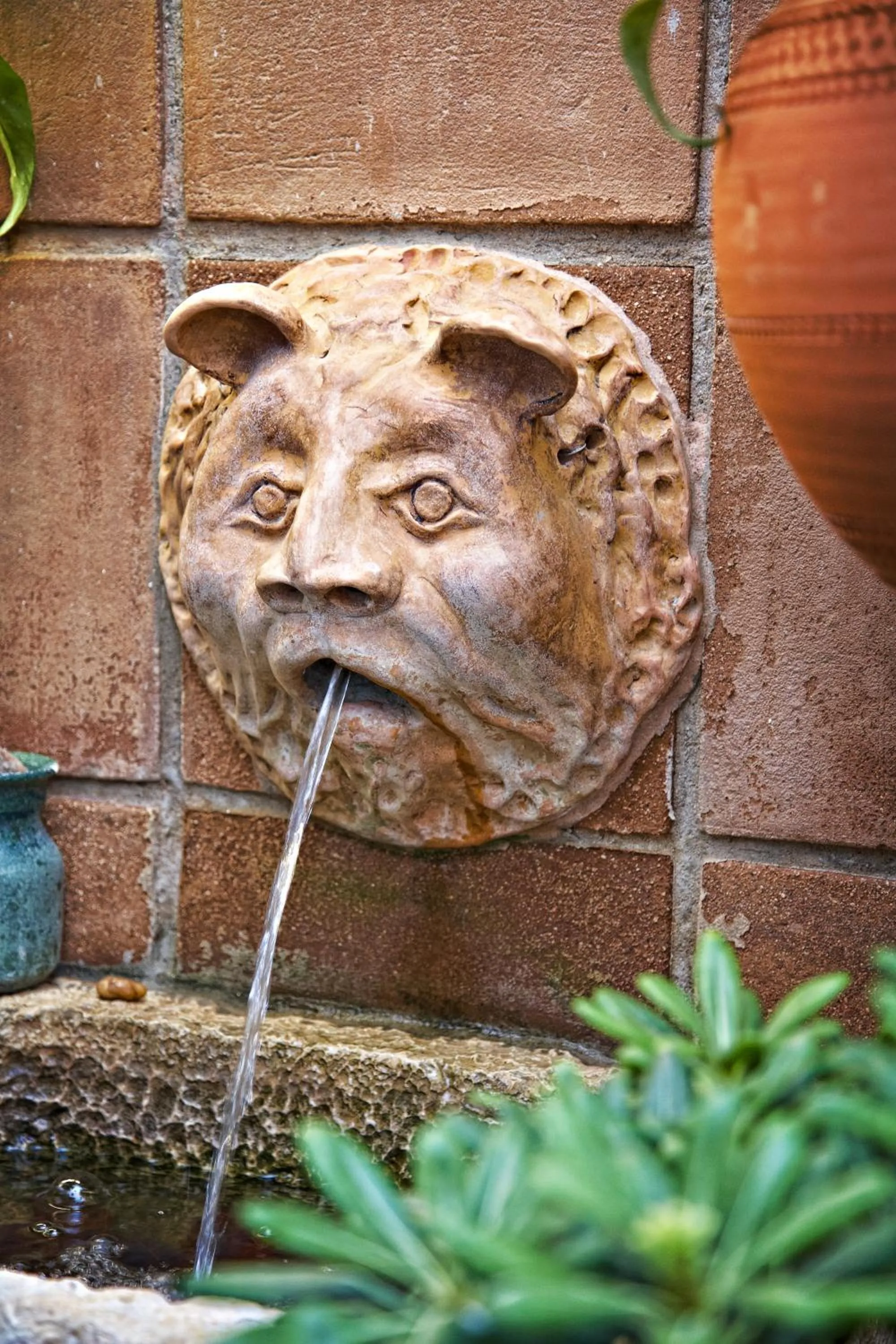 Garden in Casa Pinto