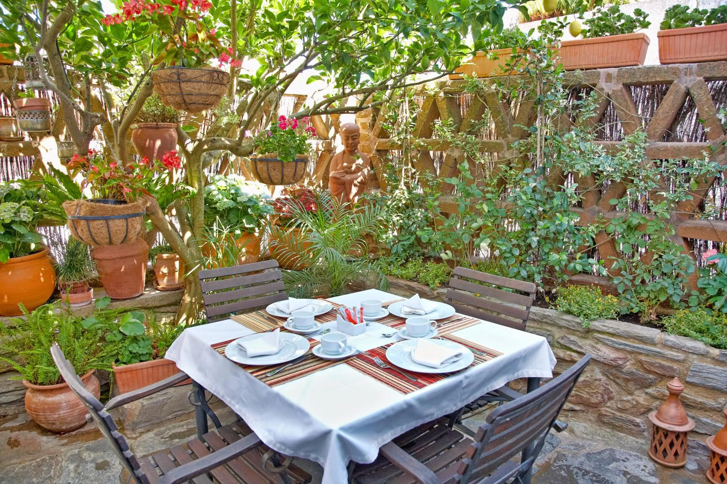 Garden in Casa Pinto