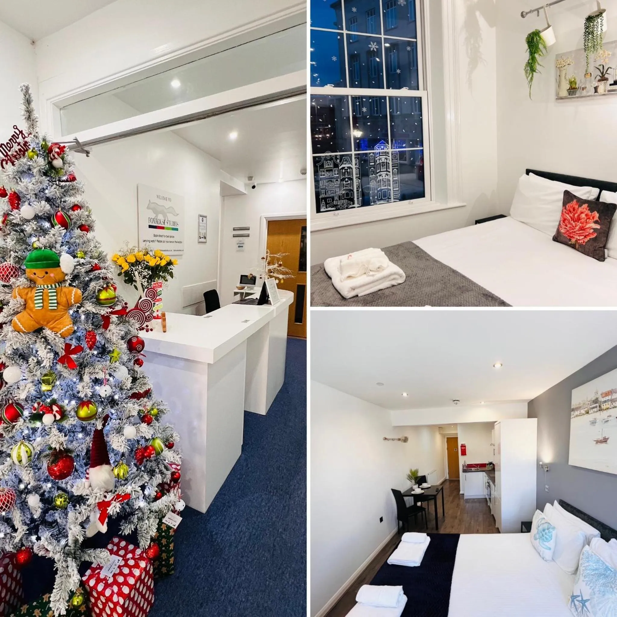 Other, Bed in Fox House Studios, City centre Aparthotel