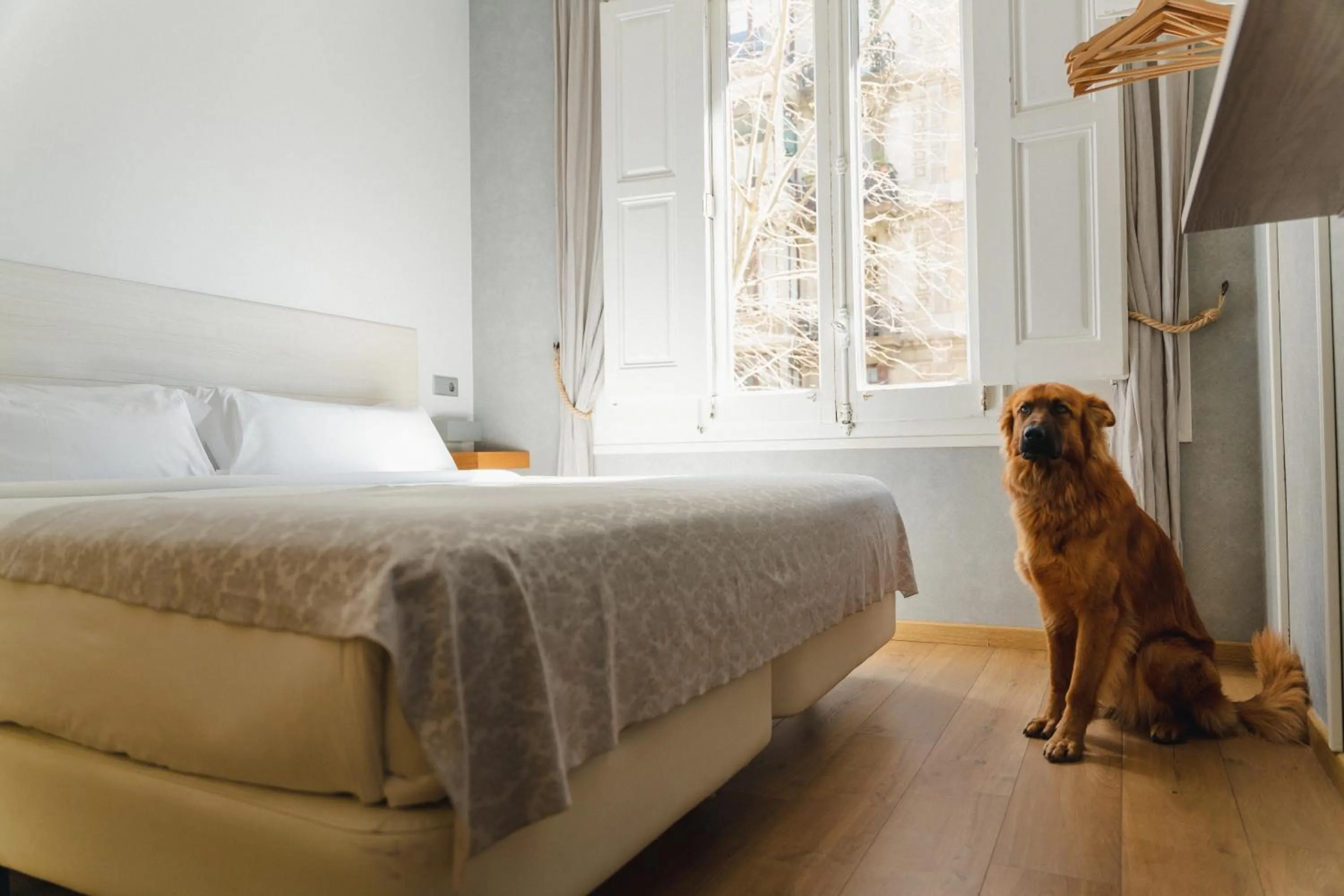 Bedroom, Bed in Cosmopolitan Boutique Rambla