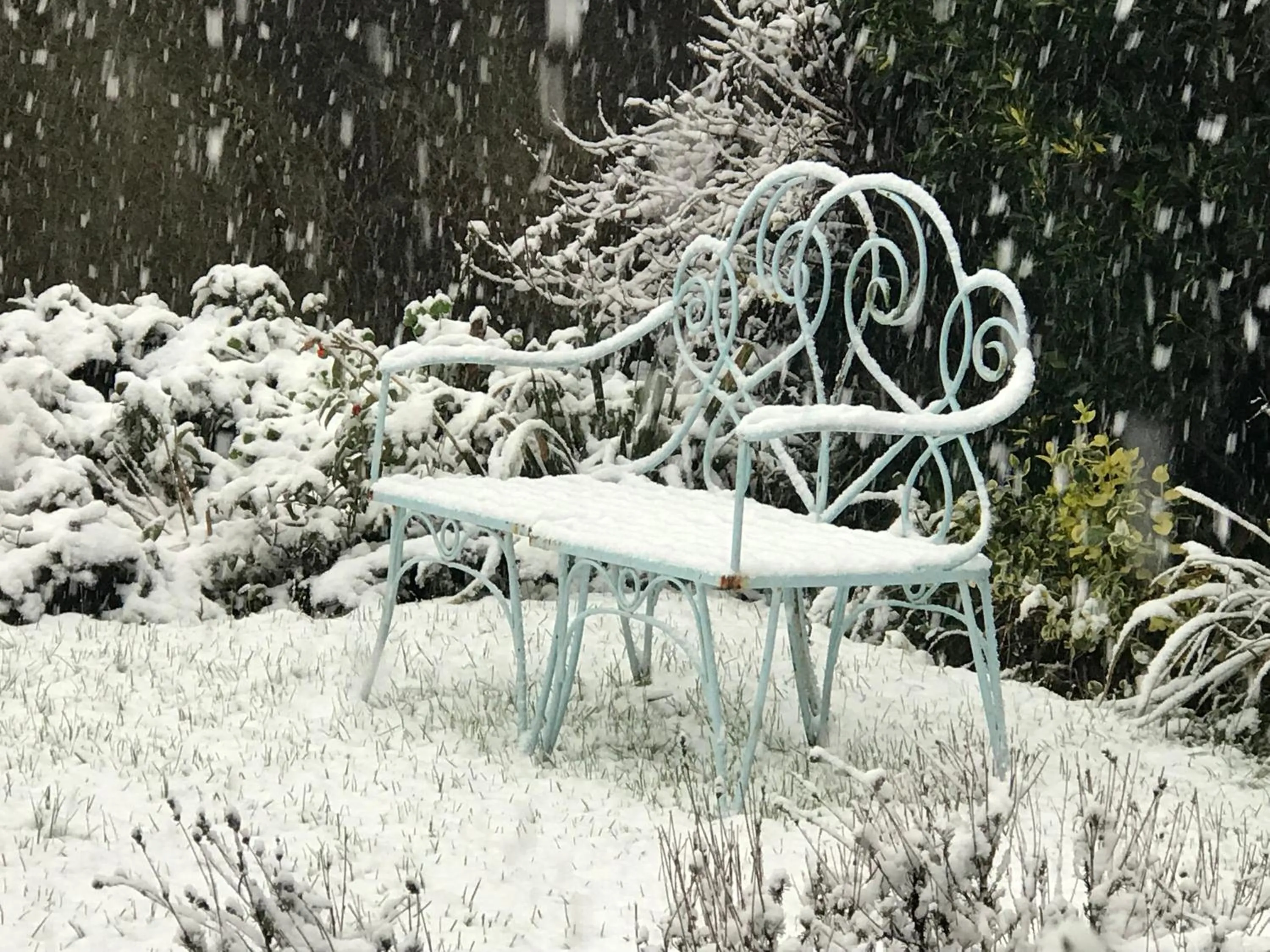 Garden in SPRING GARDENS B&B