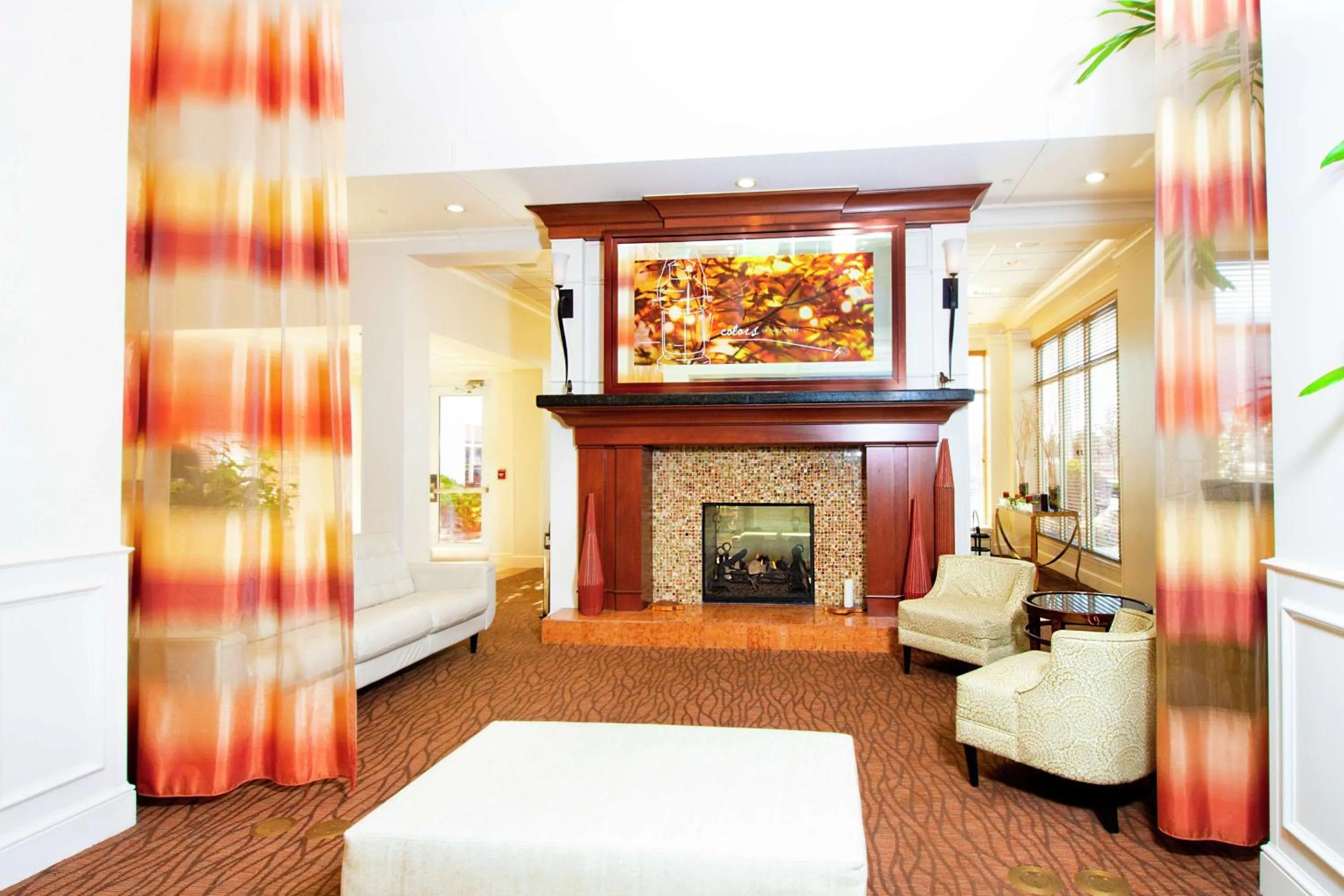 Lobby or reception in Hilton Garden Inn Anderson