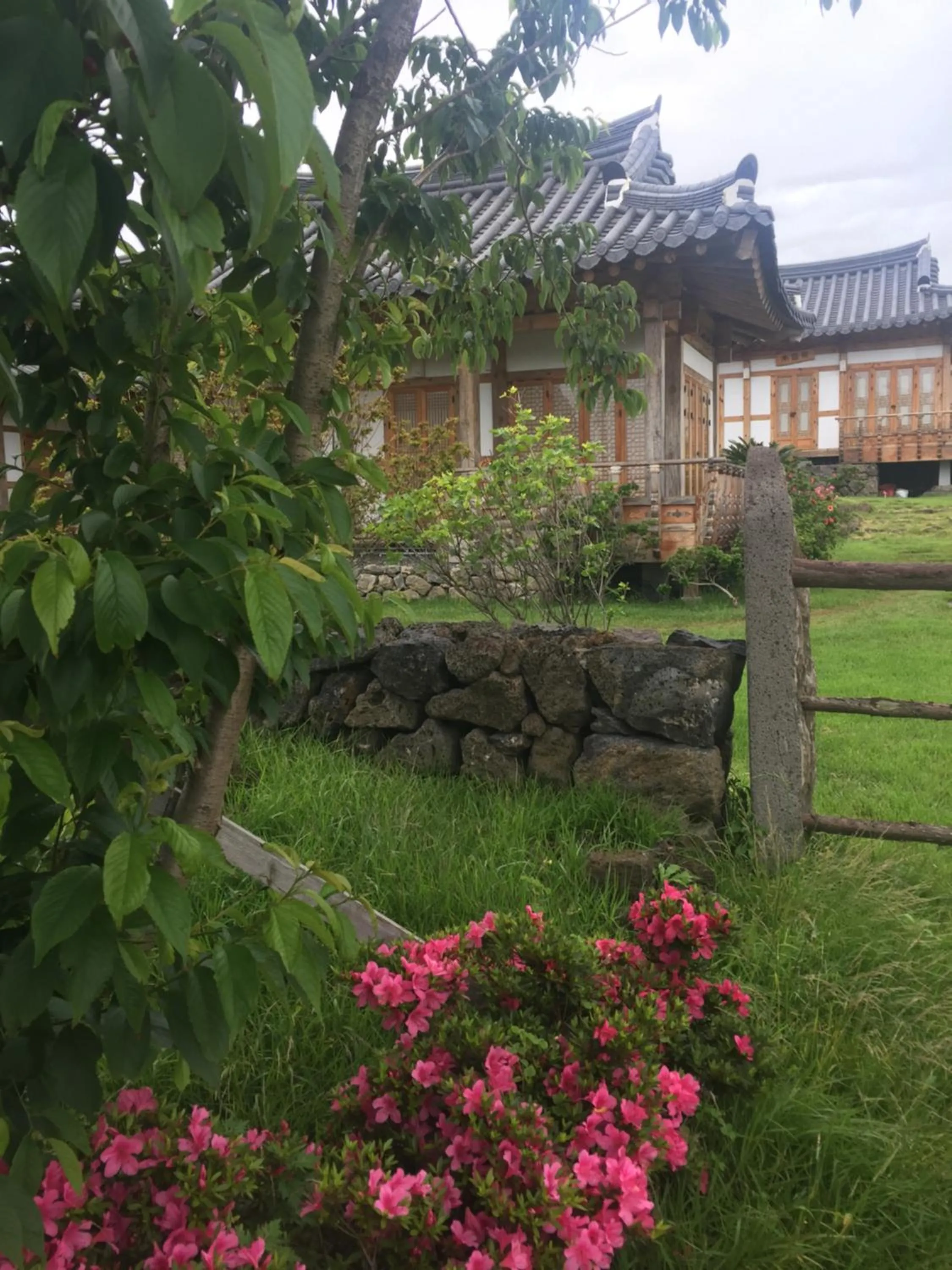 Canopus Resort Pension