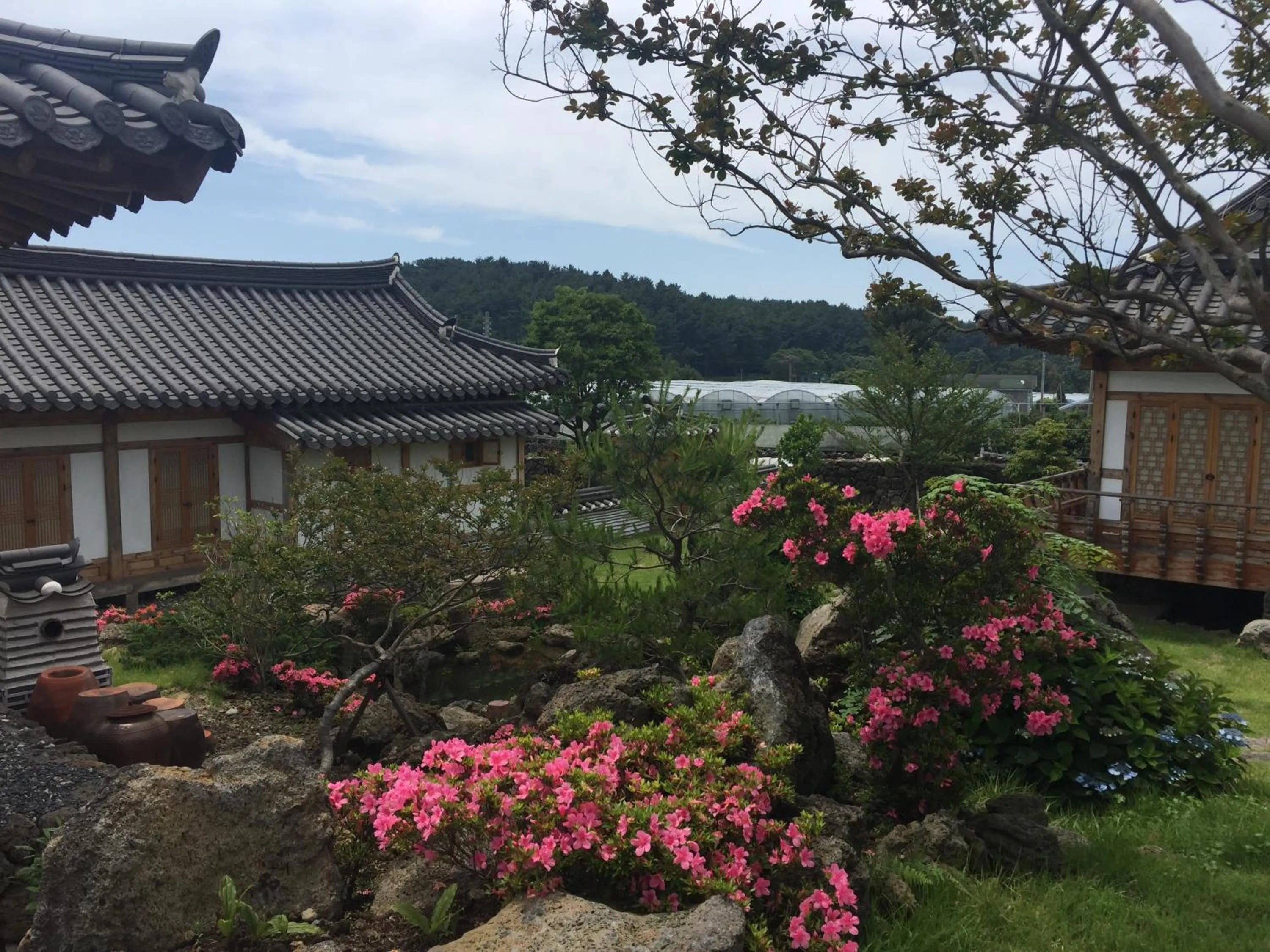 Canopus Resort Pension