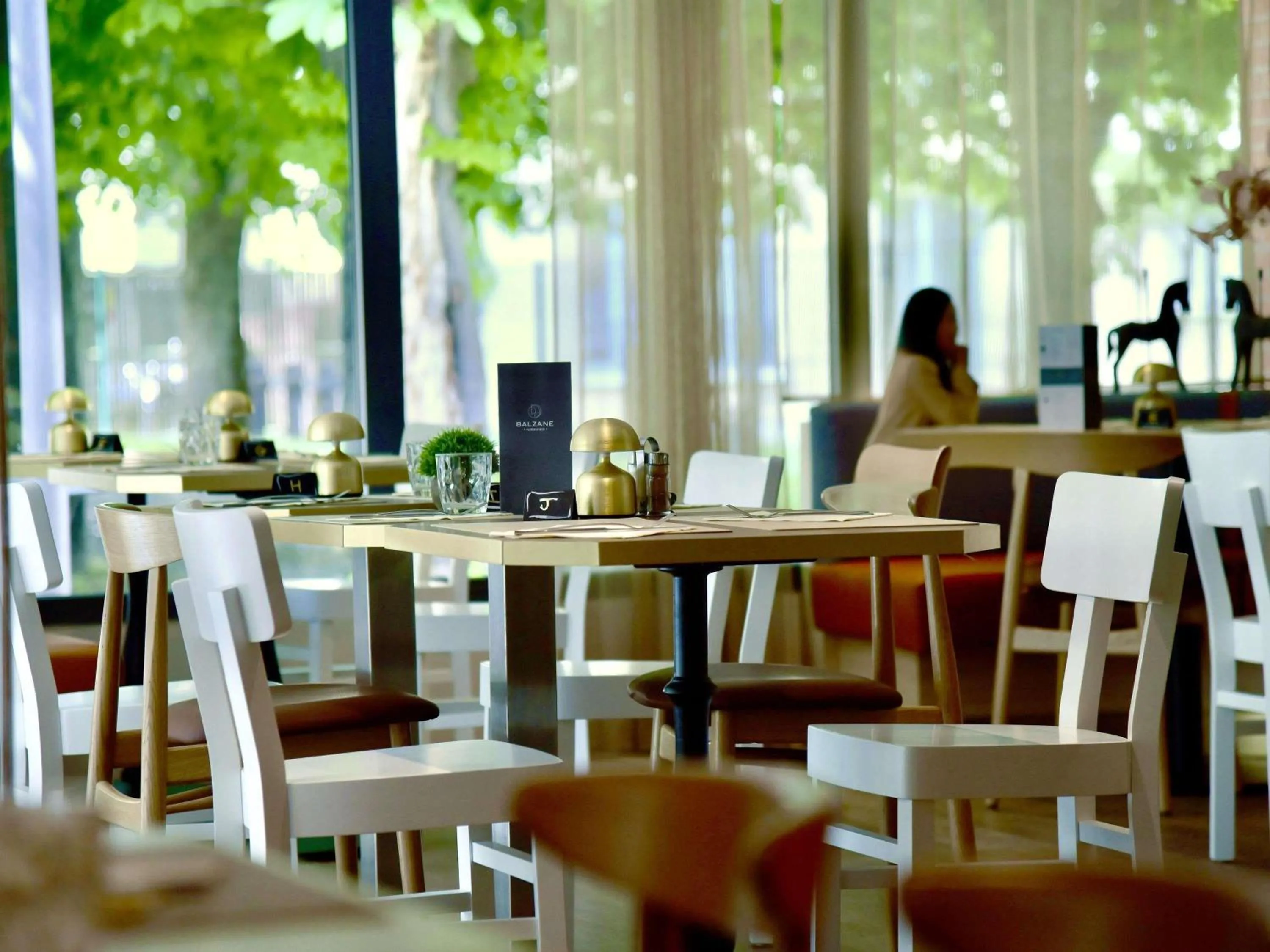 Restaurant/places to eat in ibis Maisons Laffitte