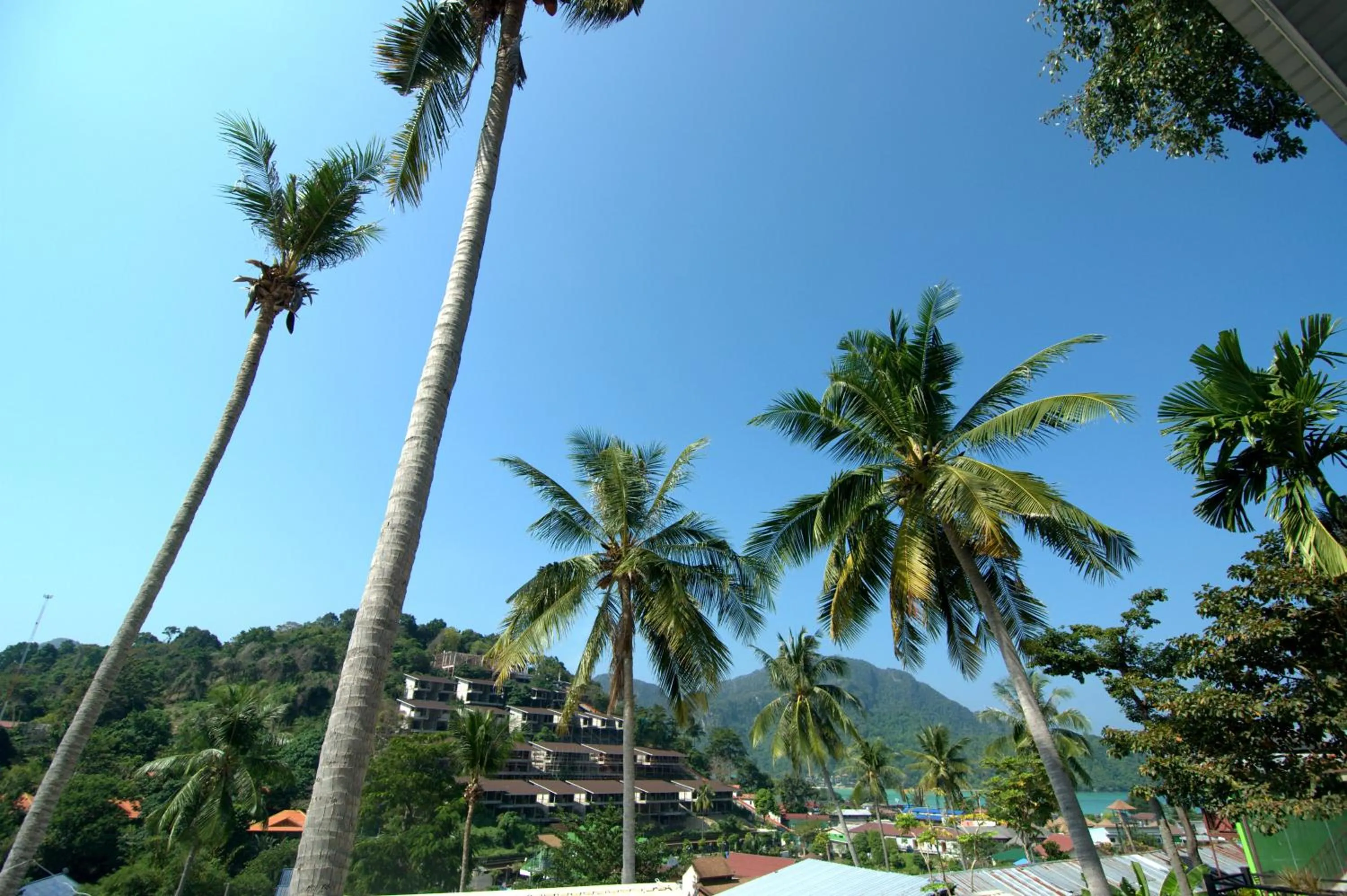 Sea view in Uphill Cottage