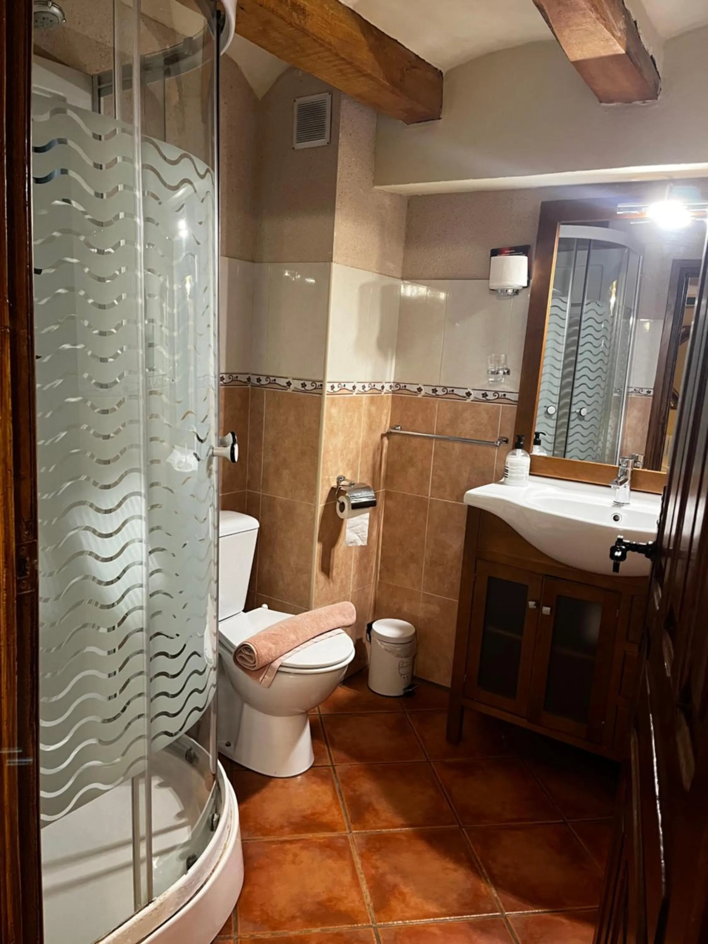 Toilet in Hotel Casa de la Fuente