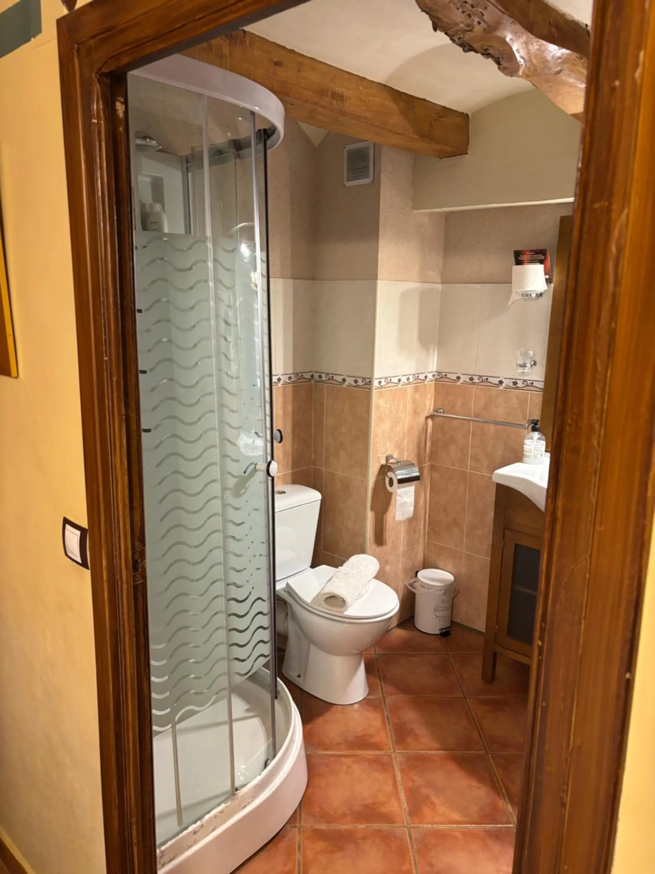 Toilet in Hotel Casa de la Fuente