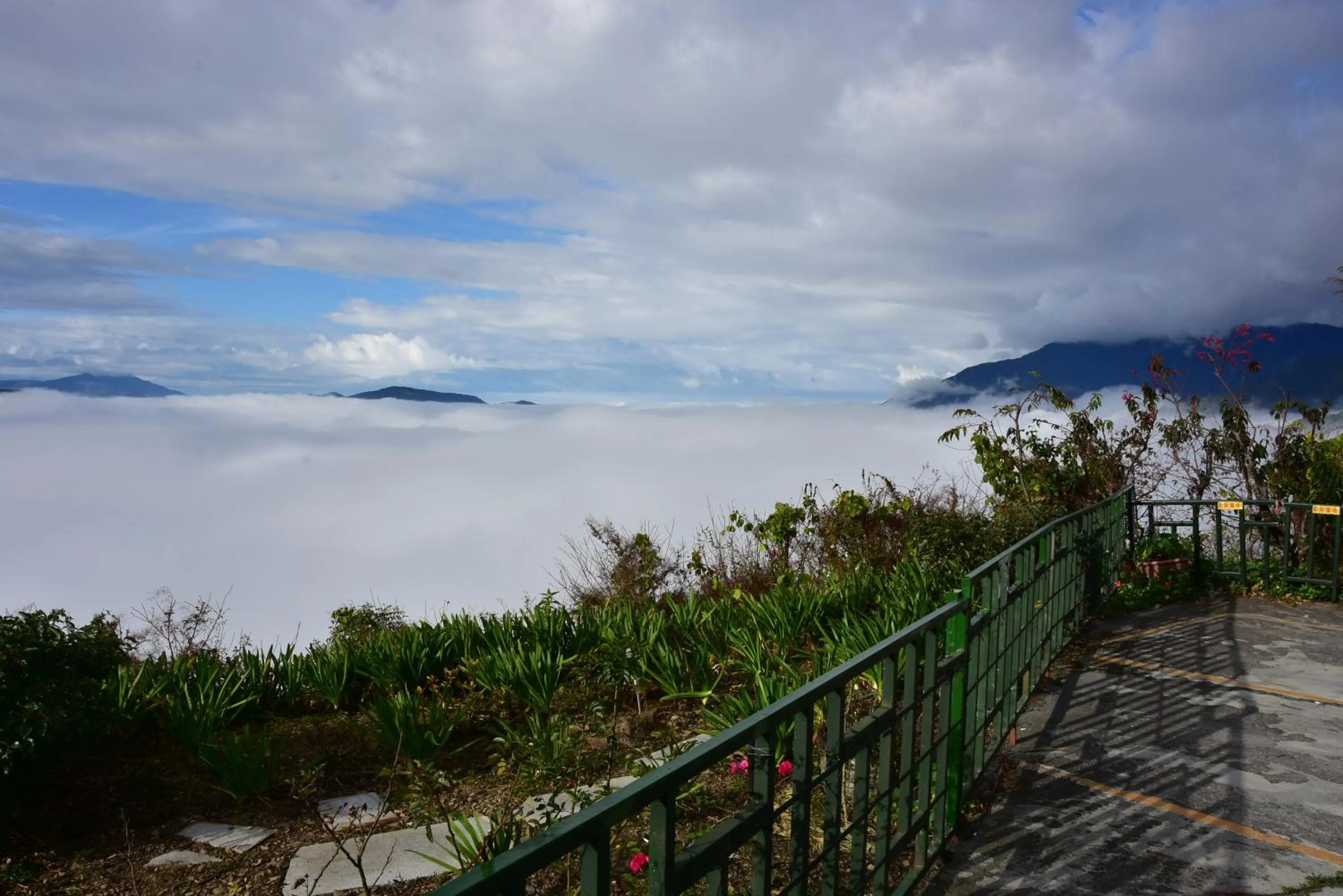 Spring in Shan Shui-Yuan Vege Guest House