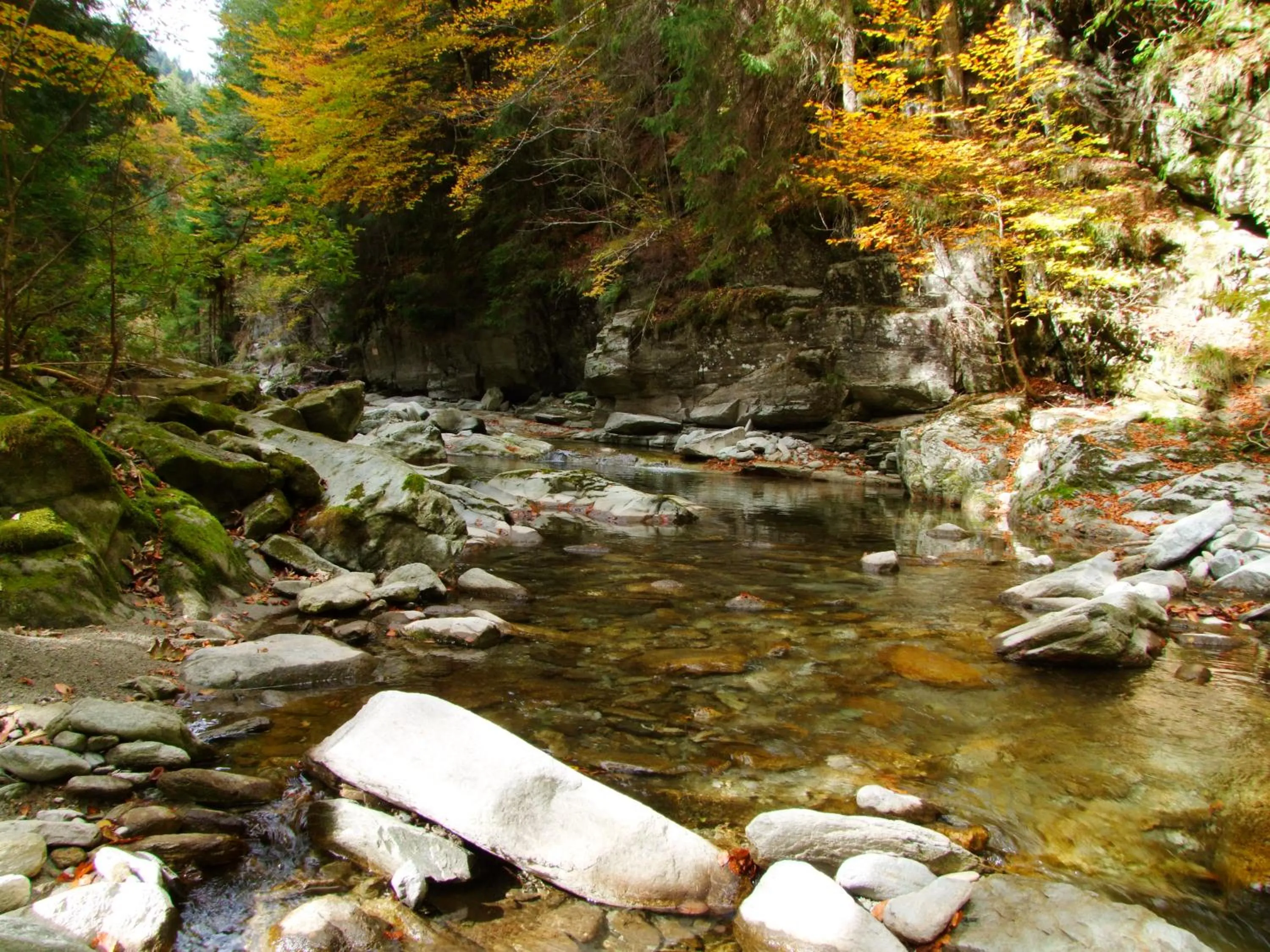 Property building in Vila Ursul