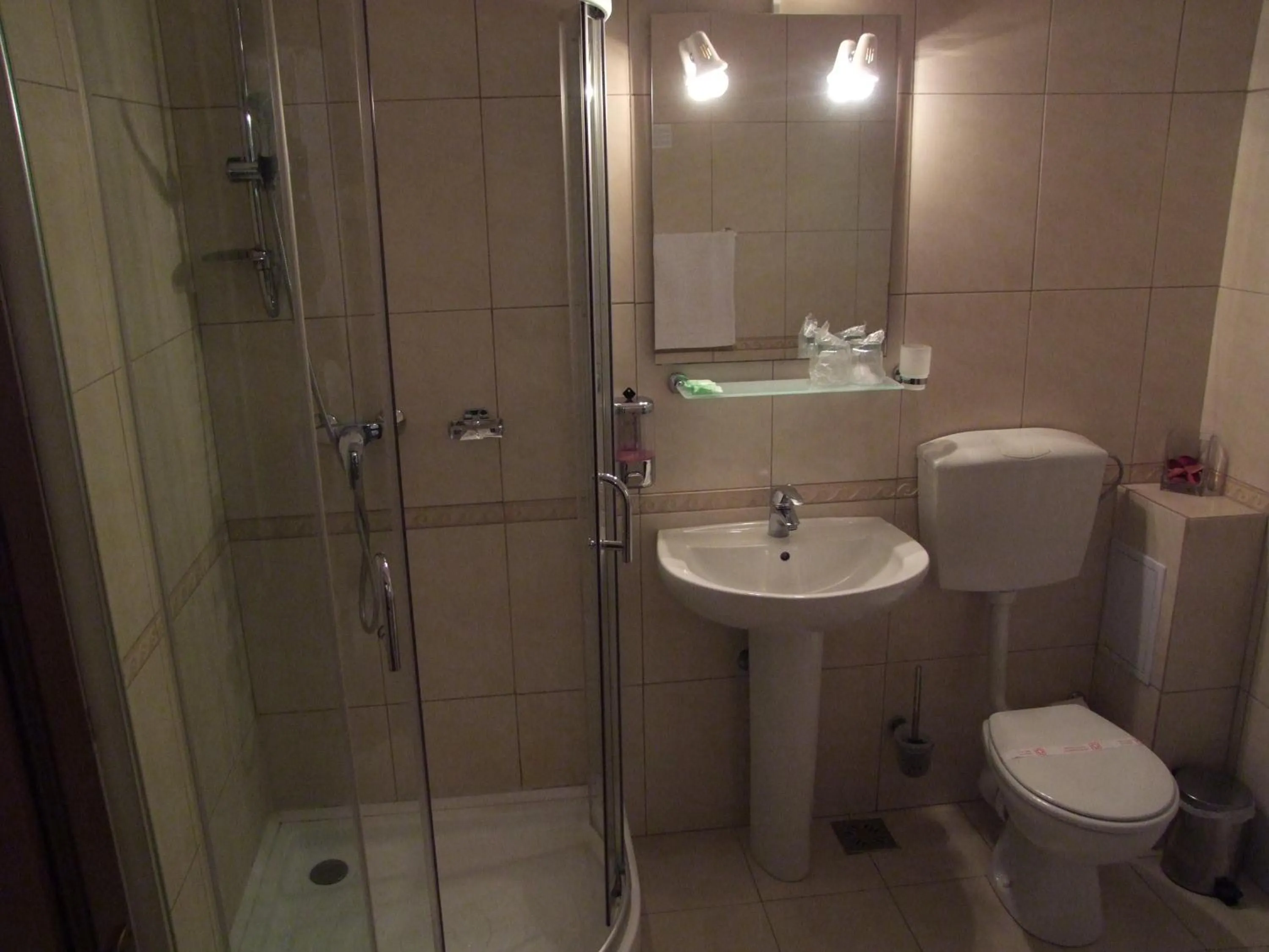 Toilet in Vila Ursul