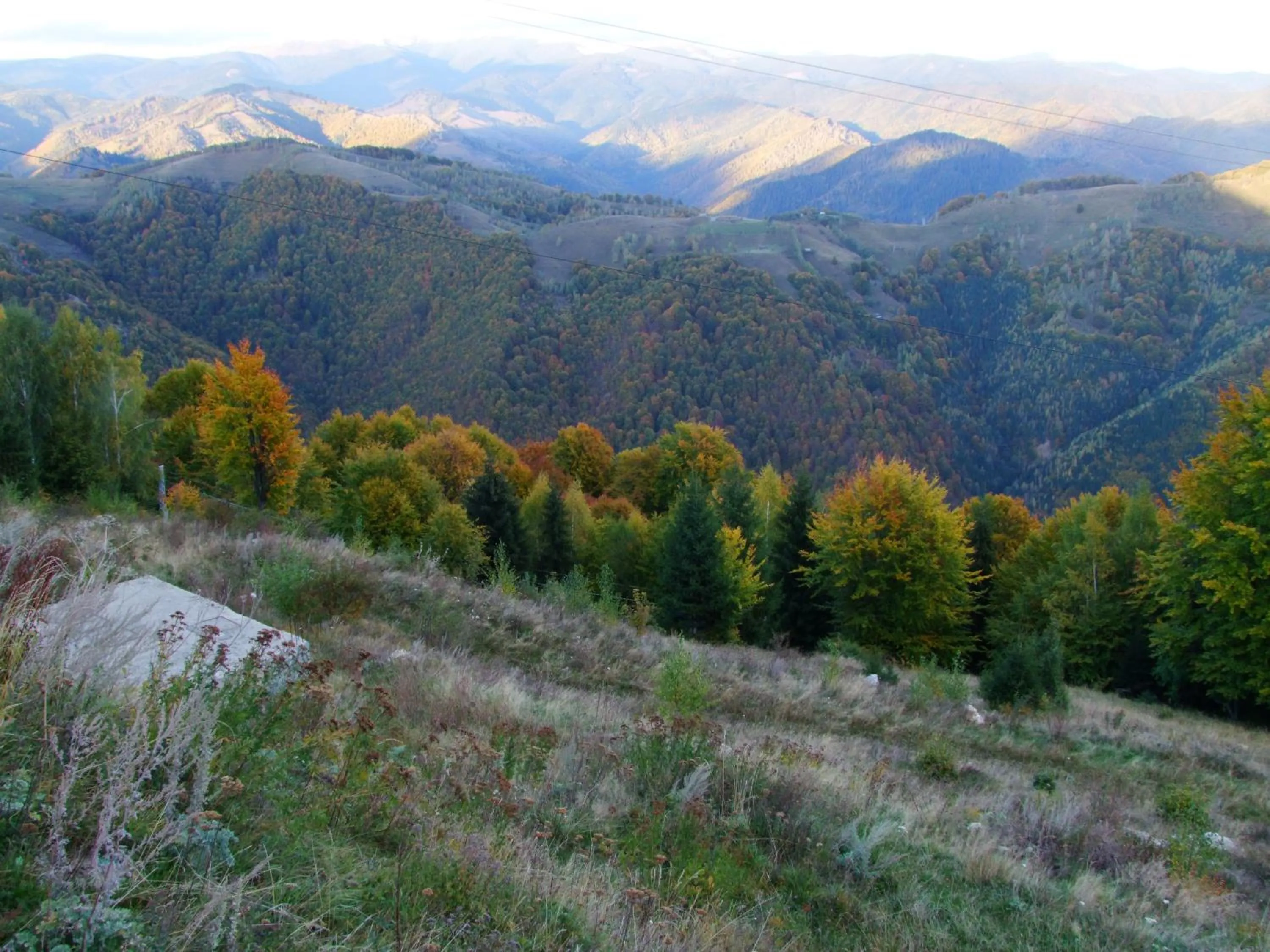 Property building in Vila Ursul