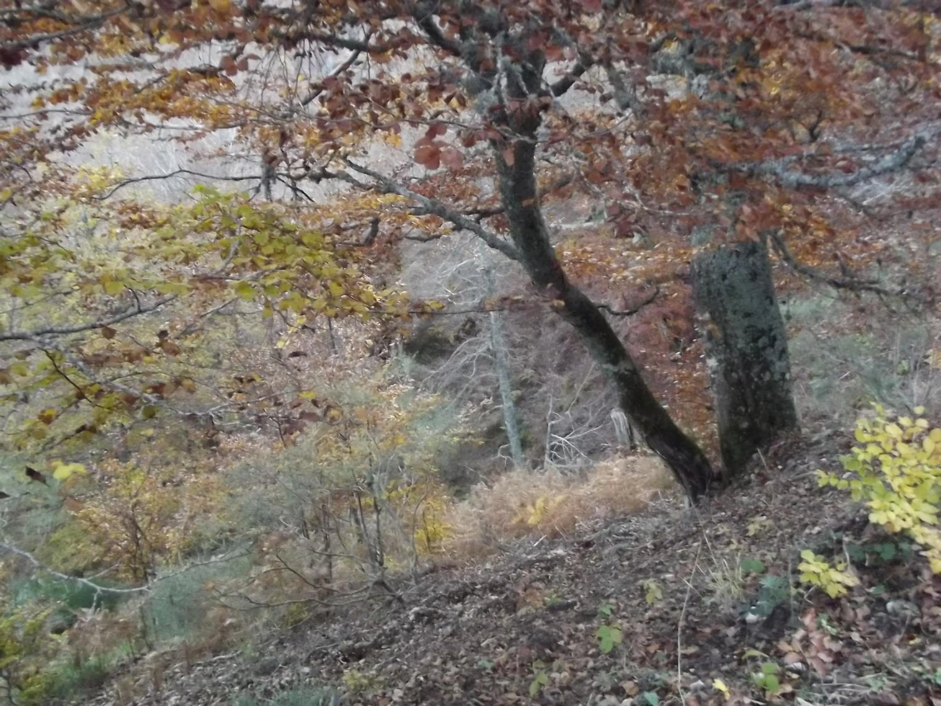 Hiking in Montaña Palentina
