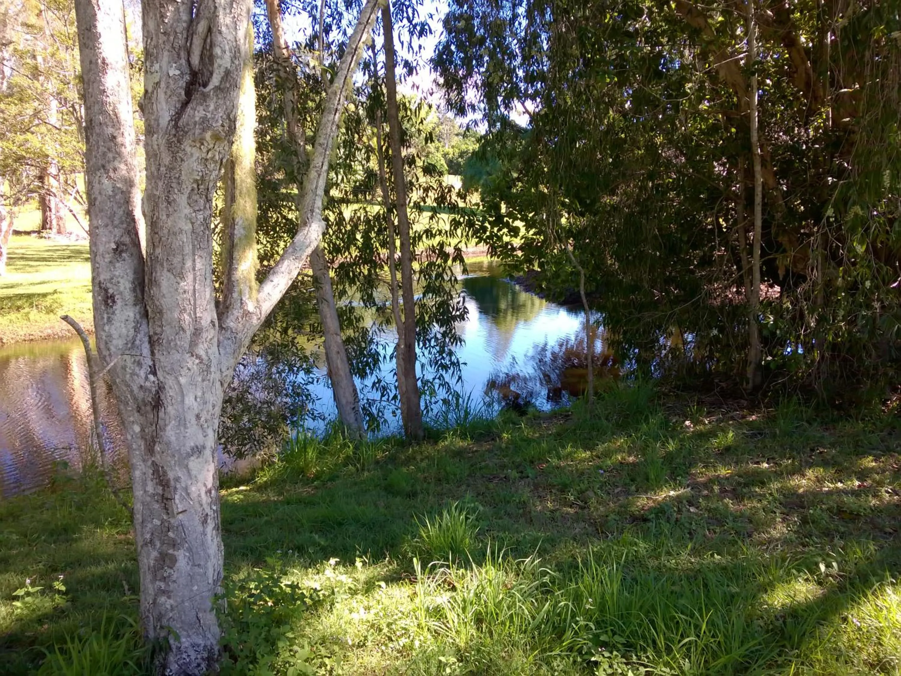 Activities in Eumundi Cottages - Cottage 2