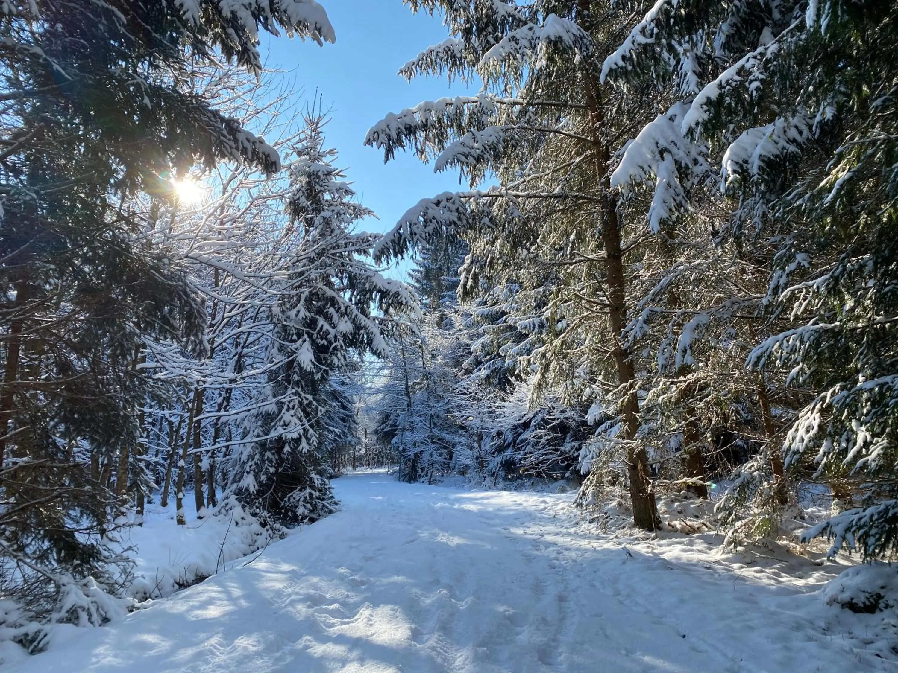 Hiking in Hotel Bayernwinkel - Yoga & Ayurveda