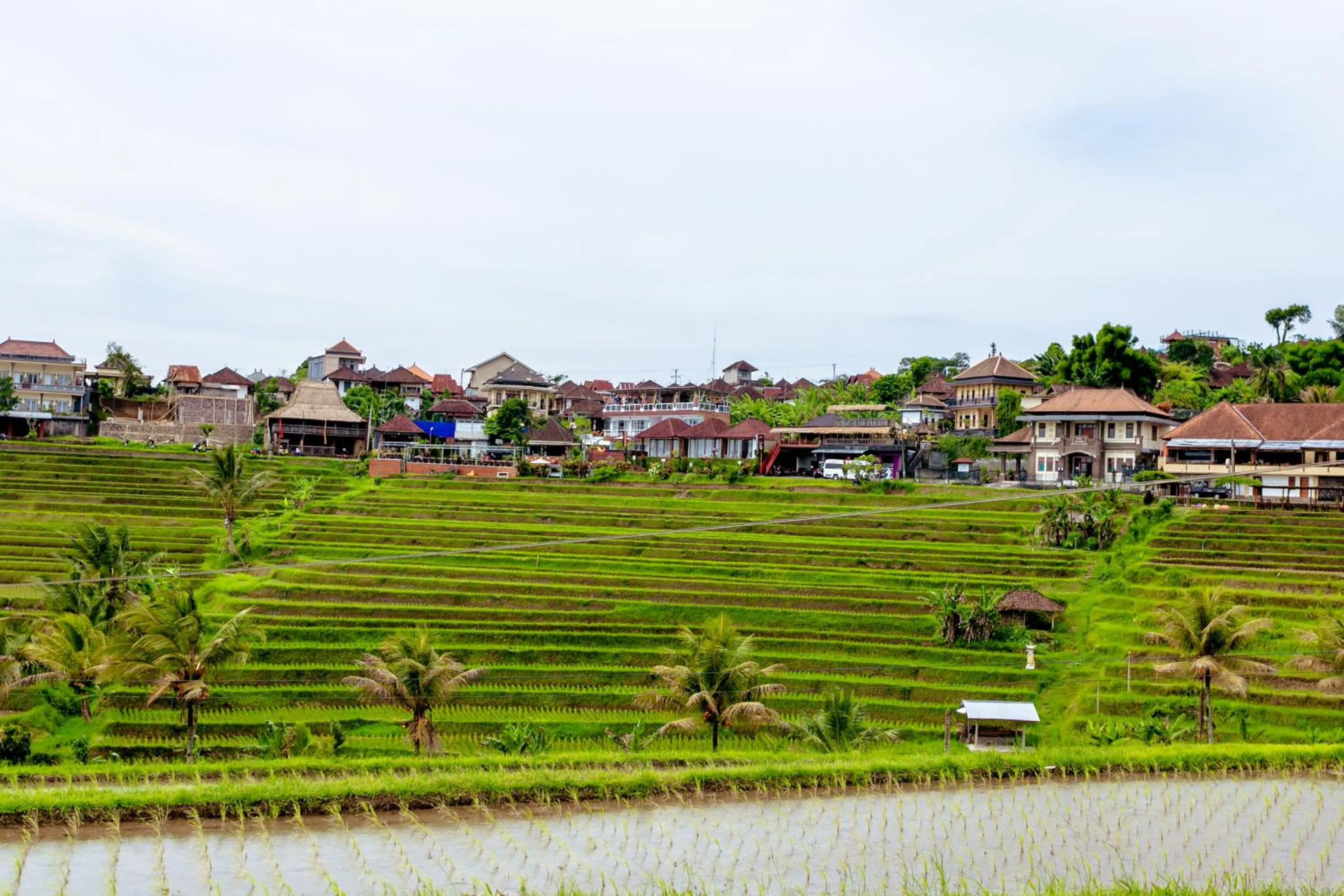 View (from property/room) in Bhuana Agung Villa and Restaurant