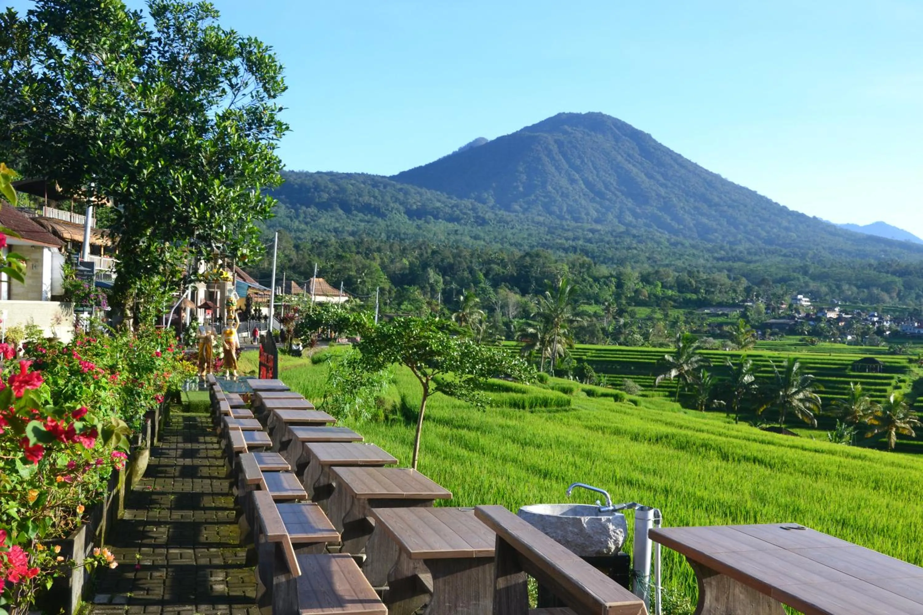 Natural landscape in Bhuana Agung Villa and Restaurant