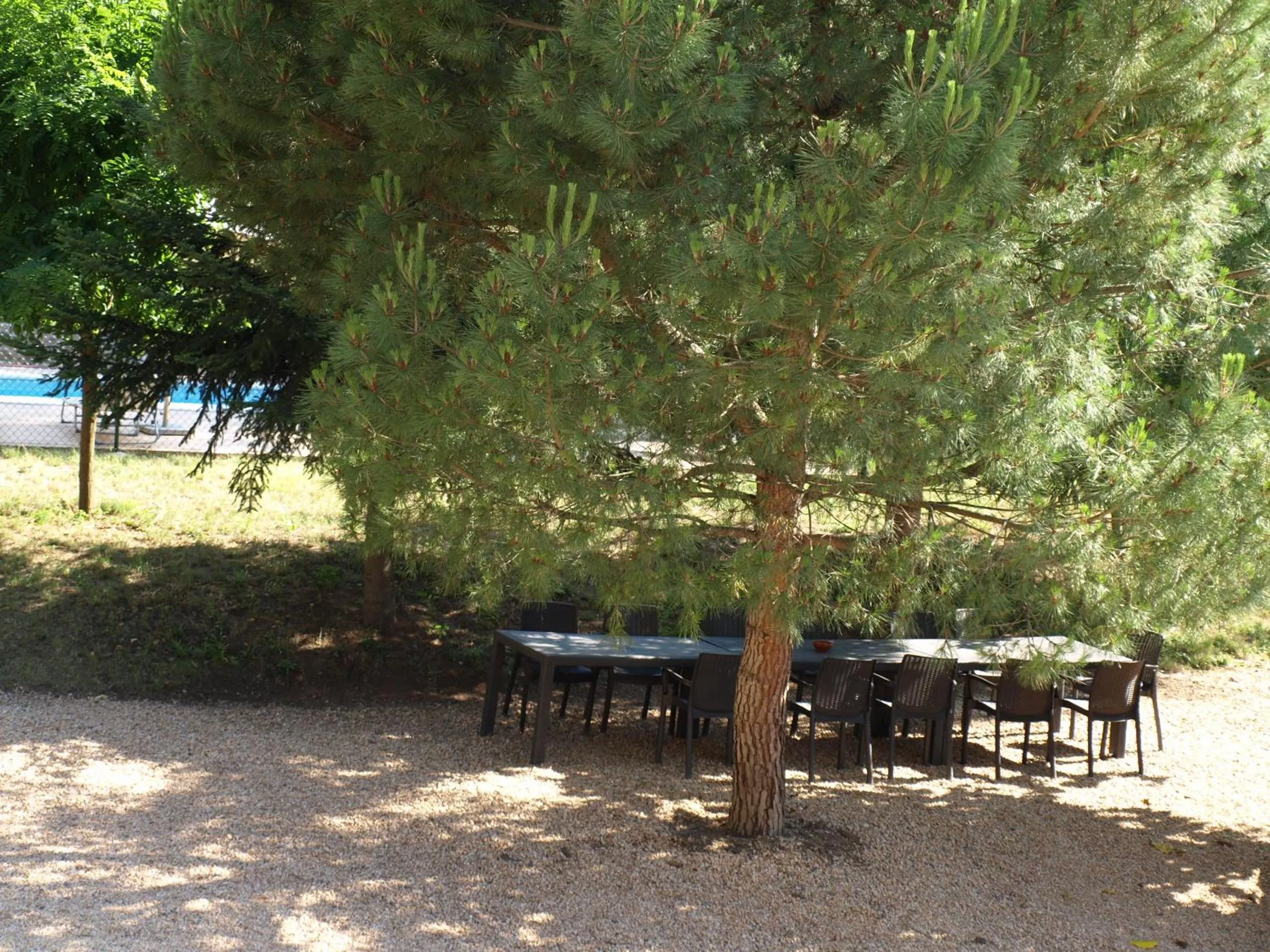Dining area in Can Dalemus