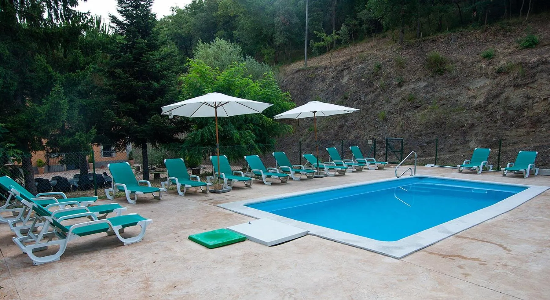 Swimming pool in Can Dalemus