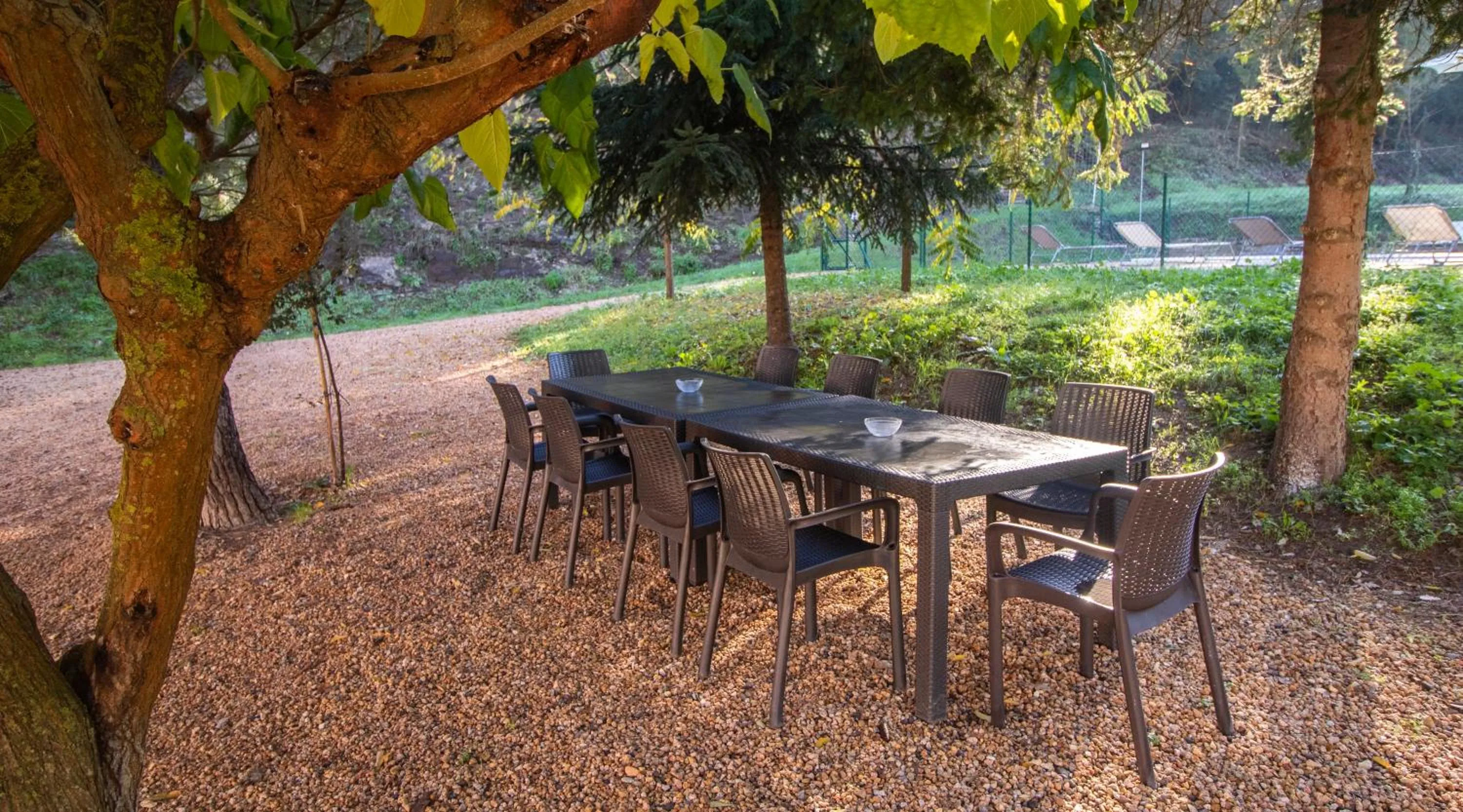 Garden in Can Dalemus