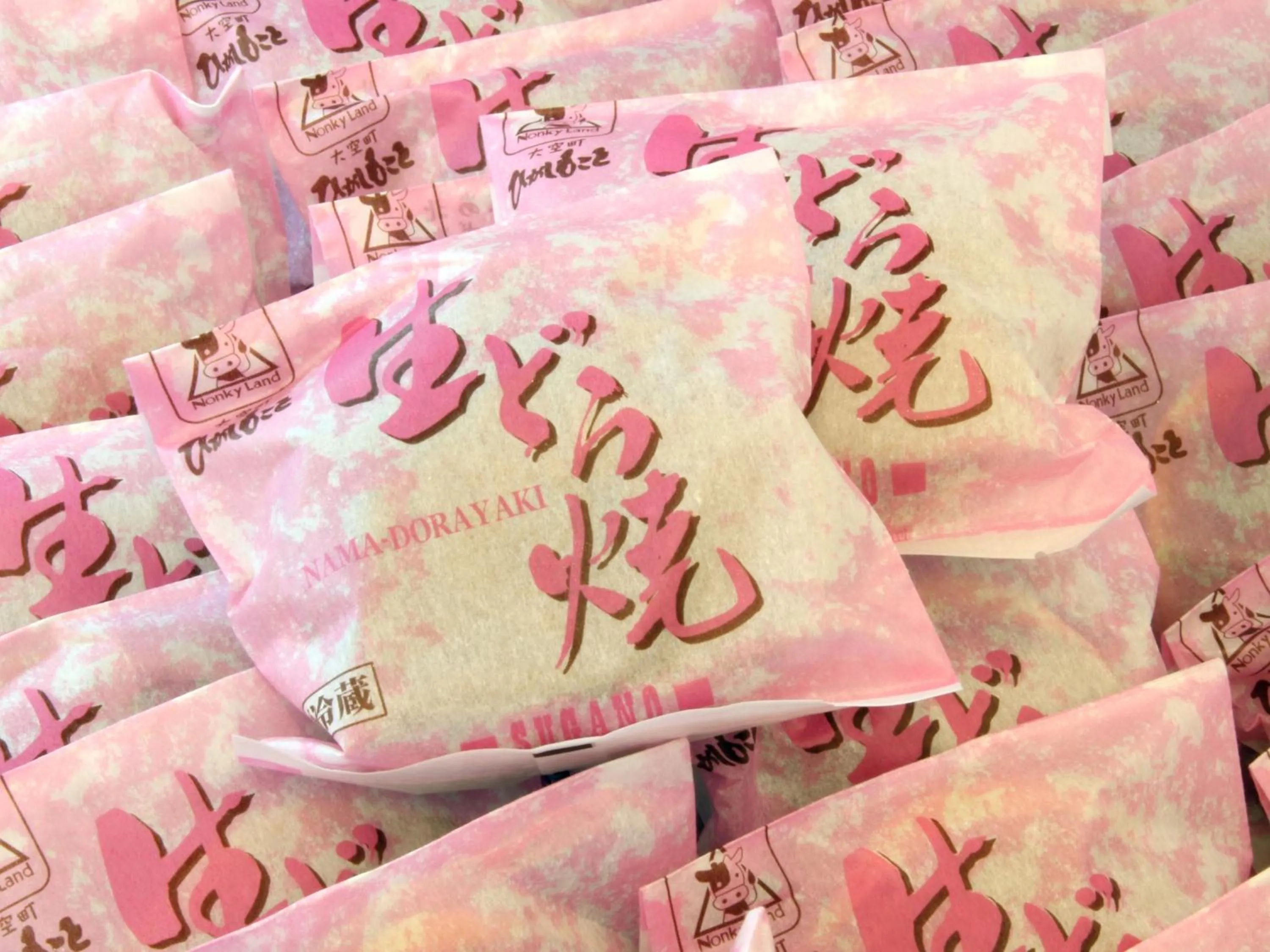 Shopping Area in Hotel Higashimokoto