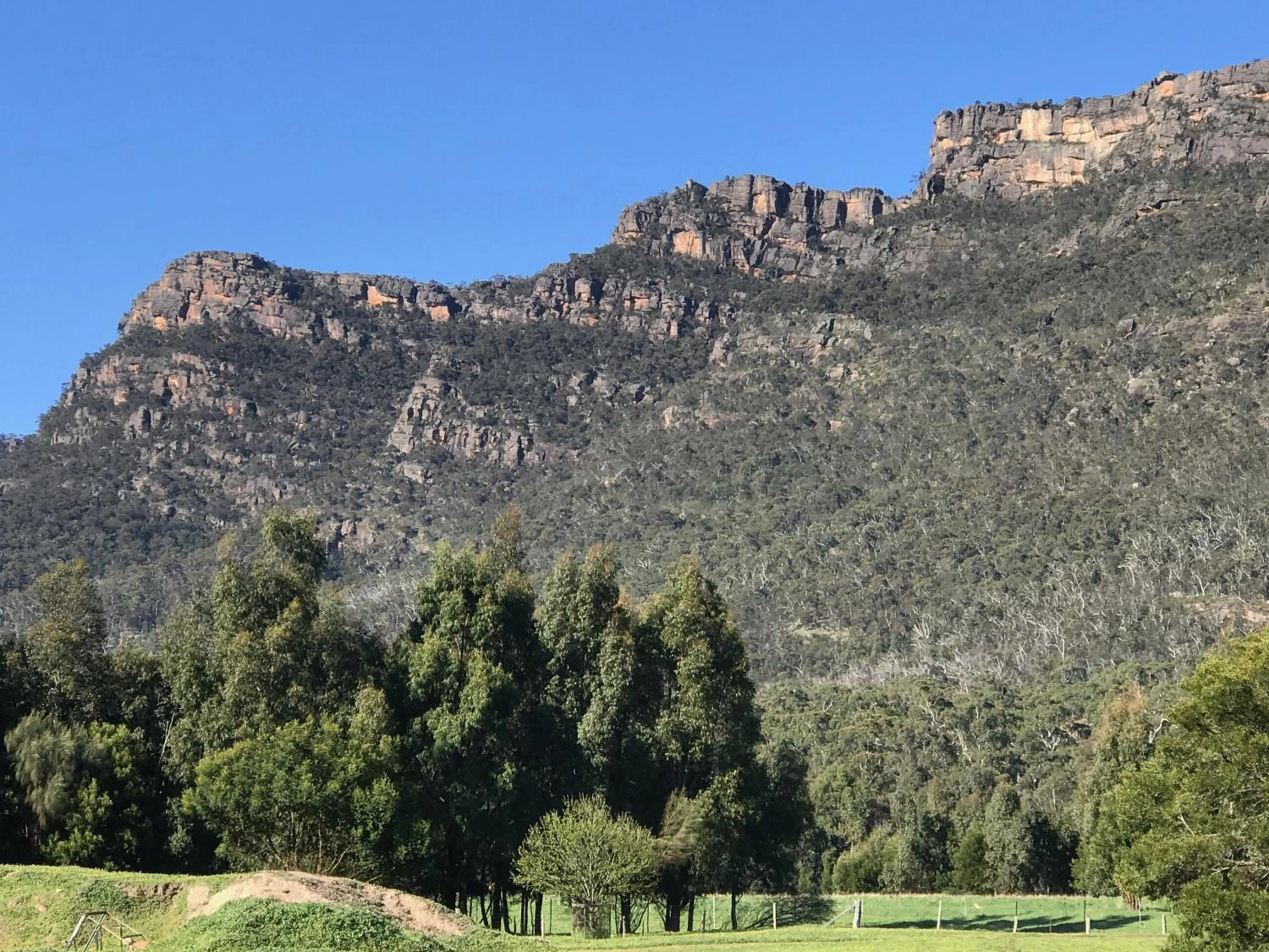 Natural landscape in Bushland