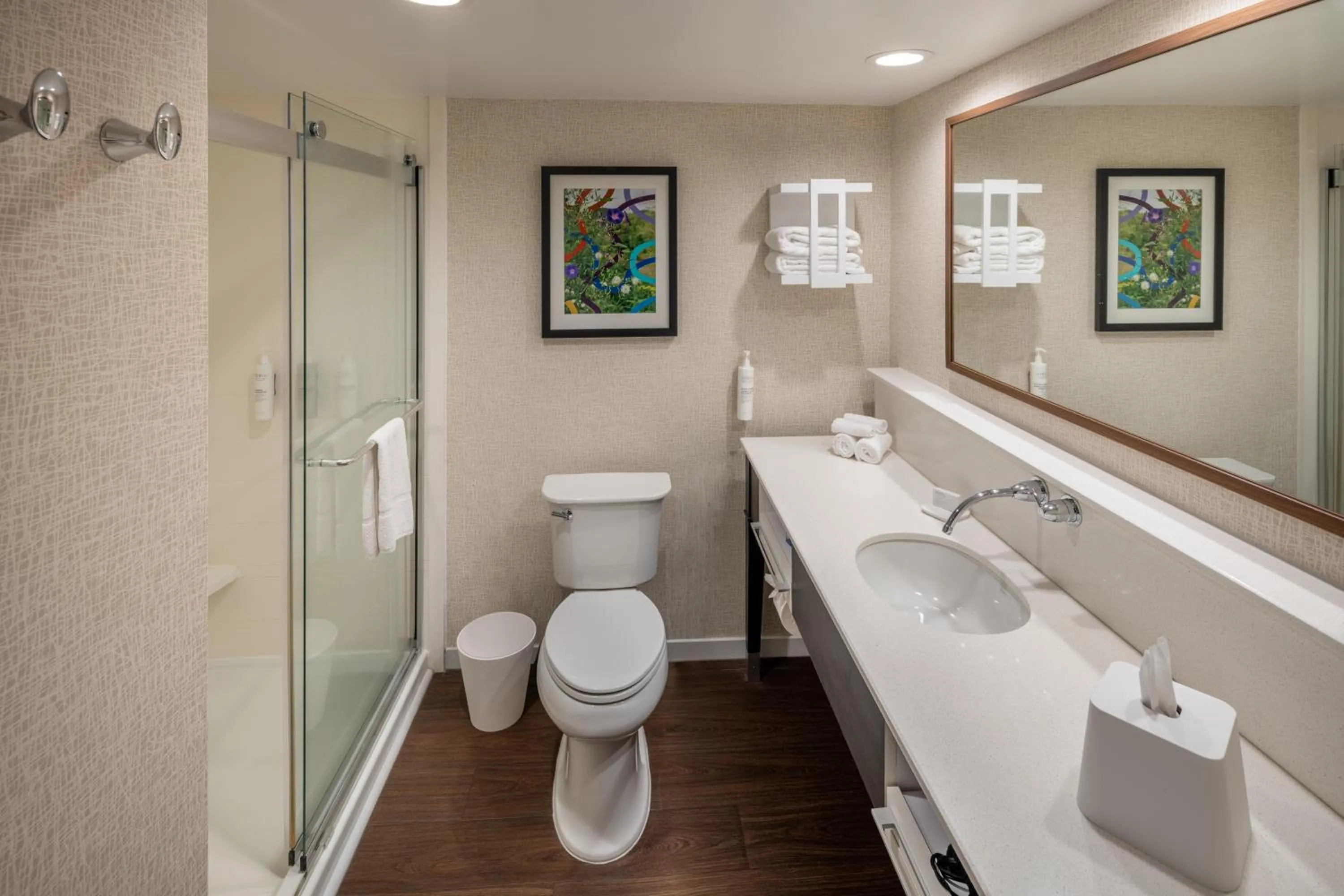 Bathroom in Hampton Inn and Suites Asheville Airport