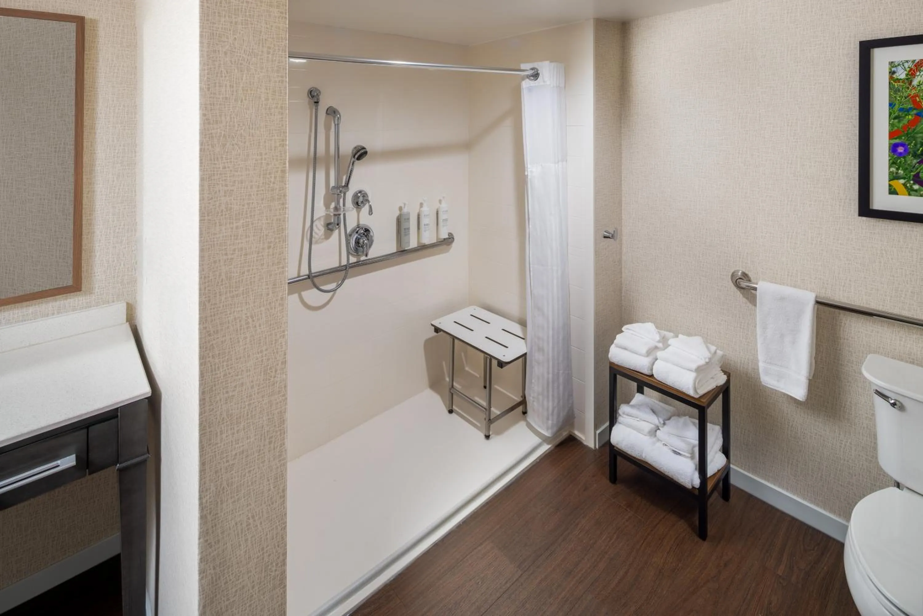 Bathroom in Hampton Inn and Suites Asheville Airport