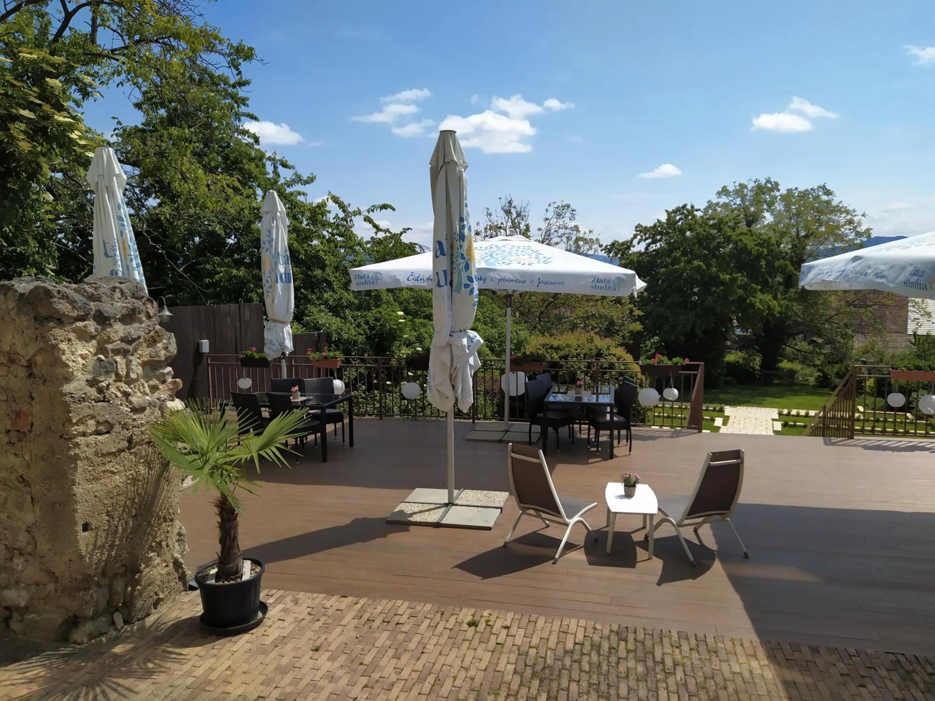 Garden in Hotel BELASSI