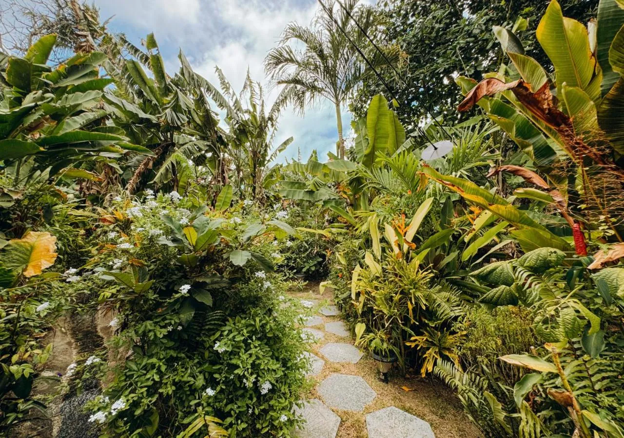 Garden in Buisson Guesthouse