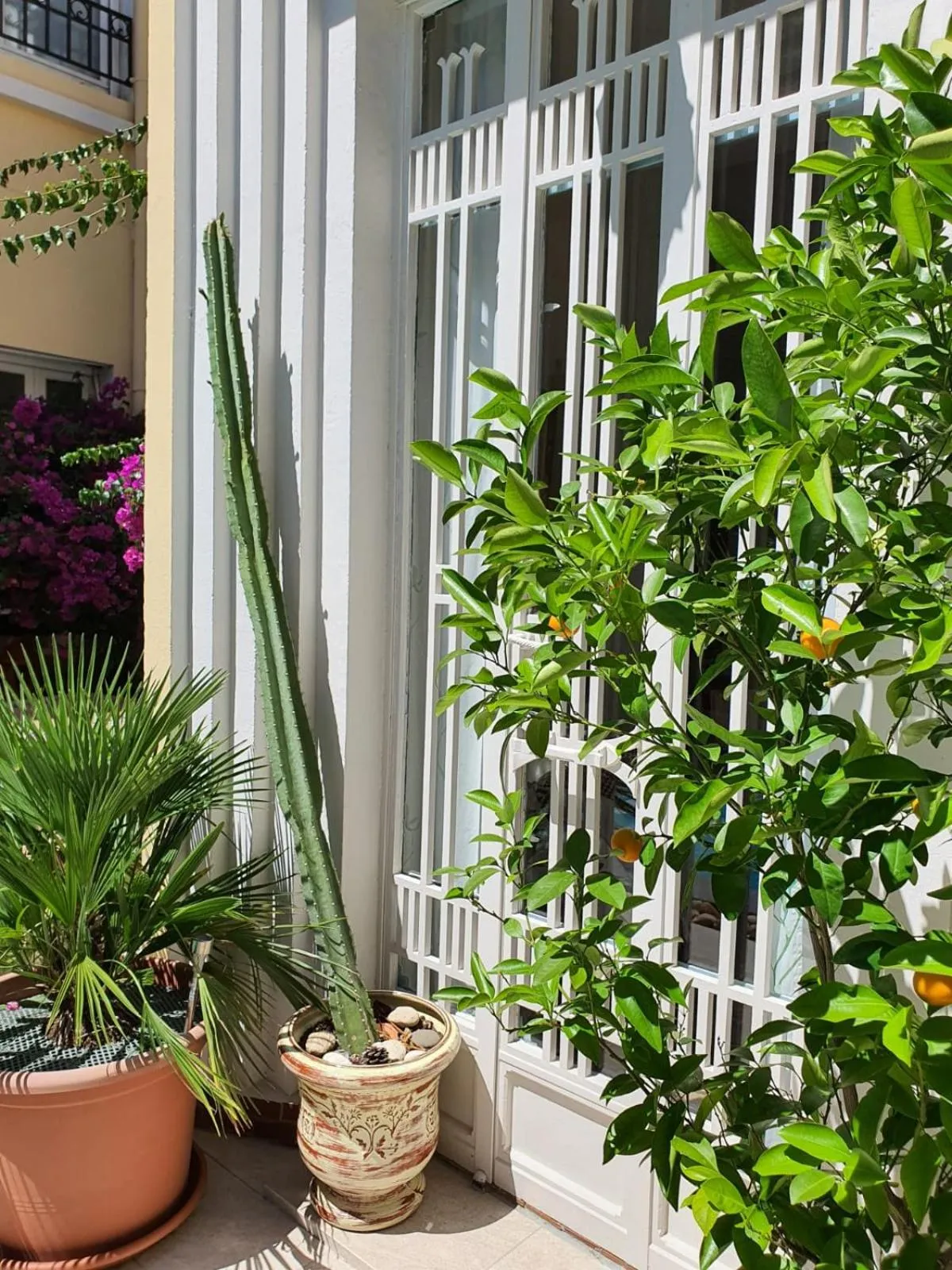 Garden in B&B Le Patio En Ville - Chambres d'hôtes