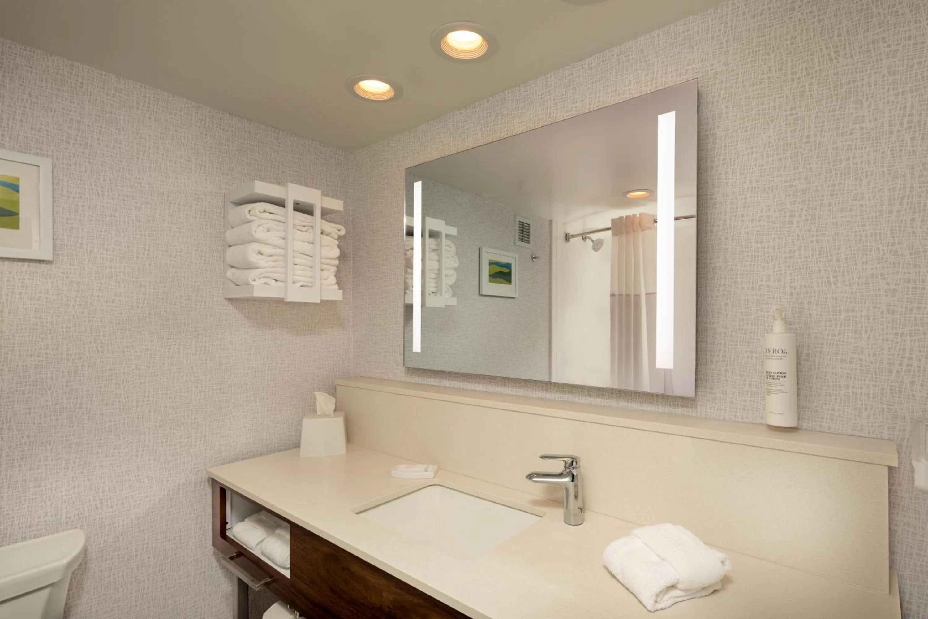 Bathroom in Hampton Inn Asheville-Tunnel Road