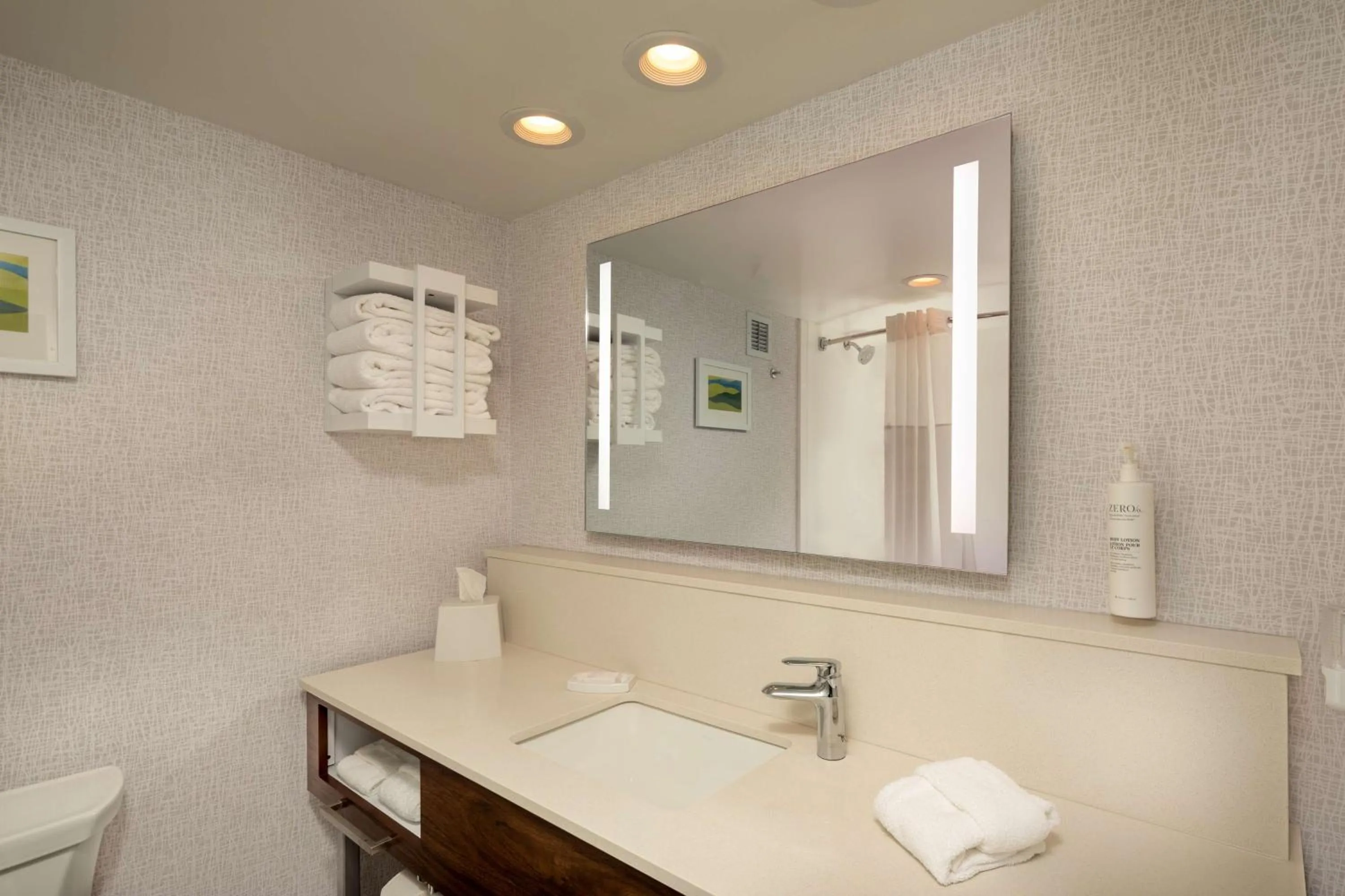 Bathroom in Hampton Inn Asheville-Tunnel Road