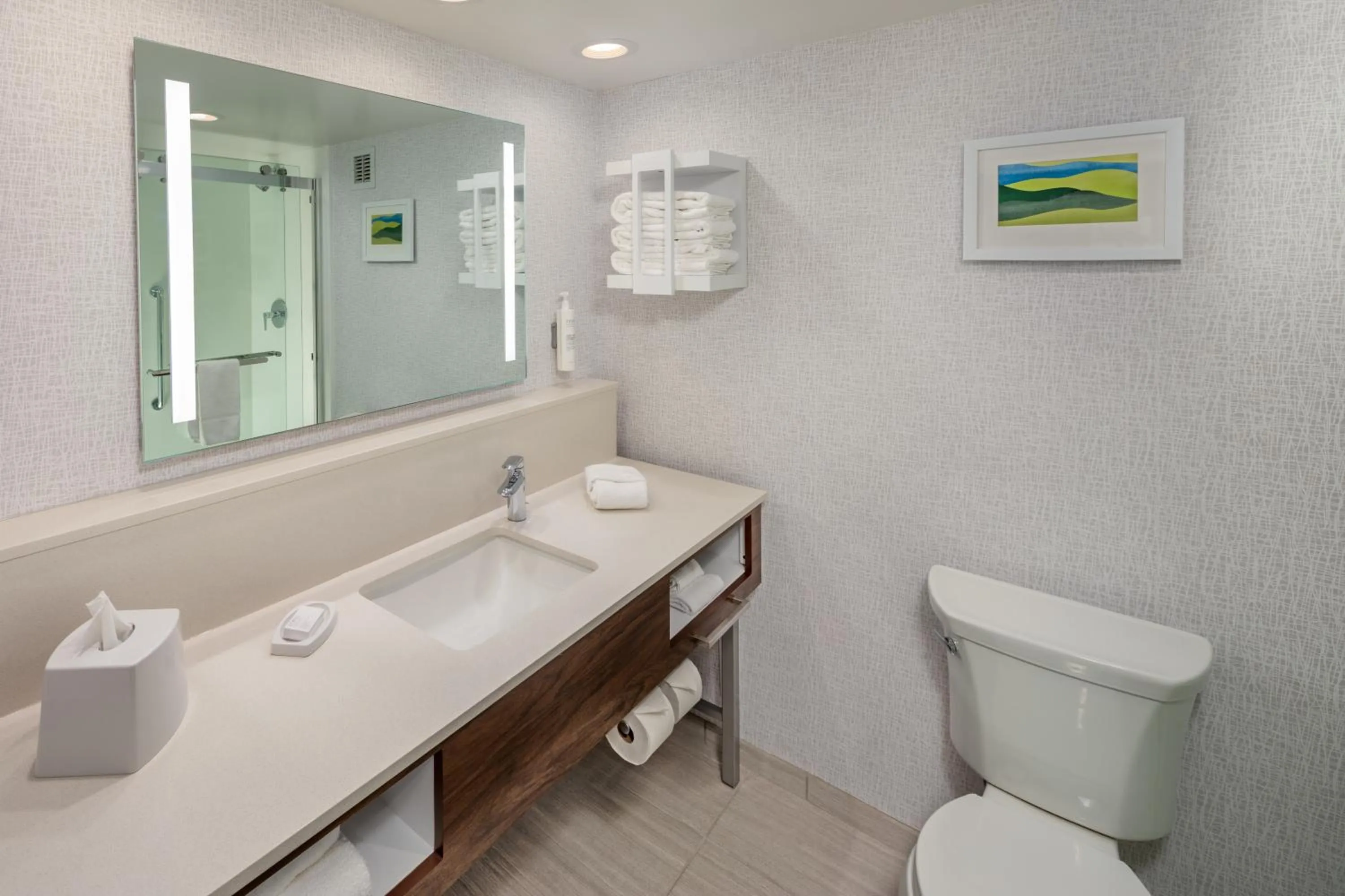 Bathroom in Hampton Inn Asheville-Tunnel Road