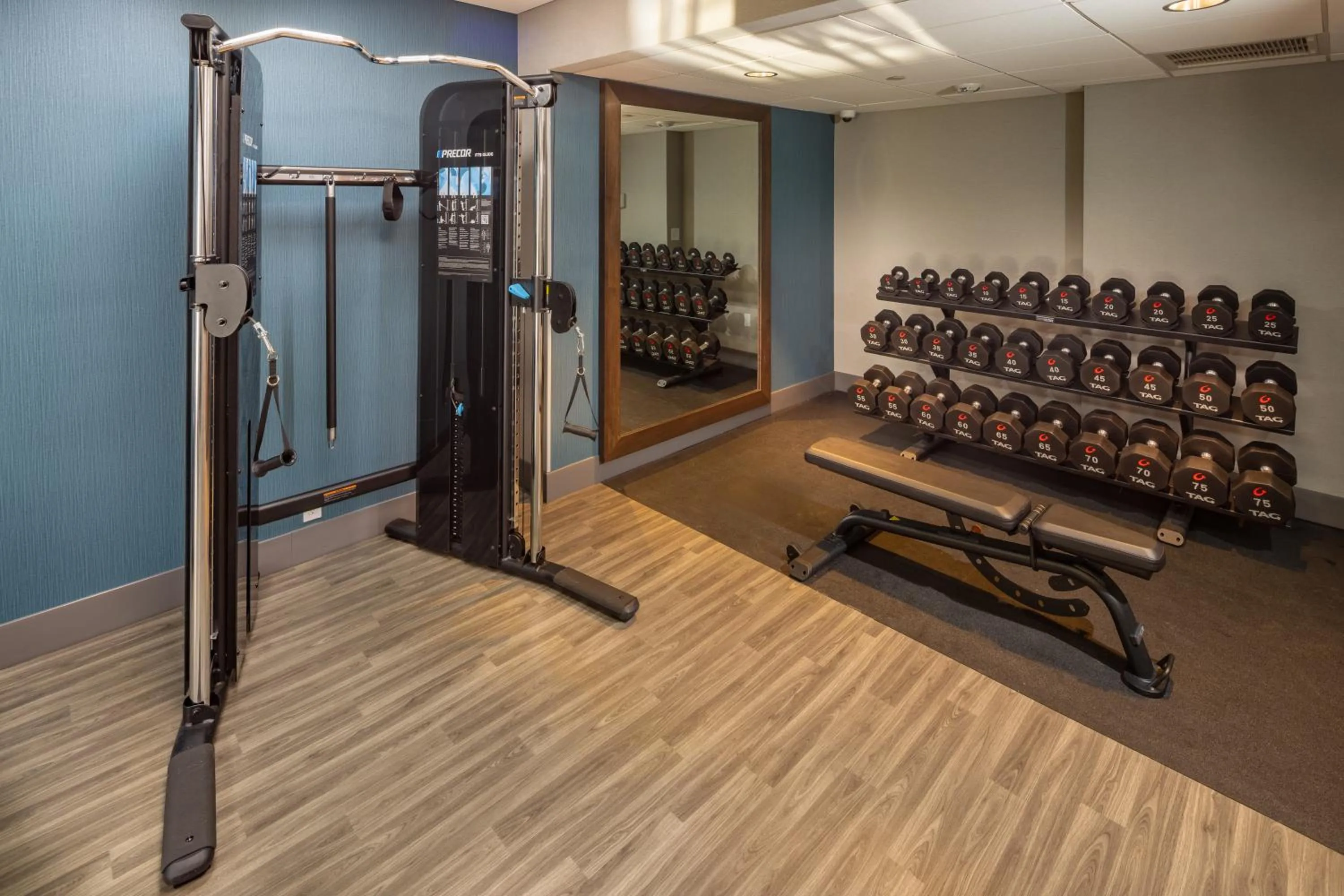 Fitness centre/facilities in Hampton Inn Asheville-Tunnel Road