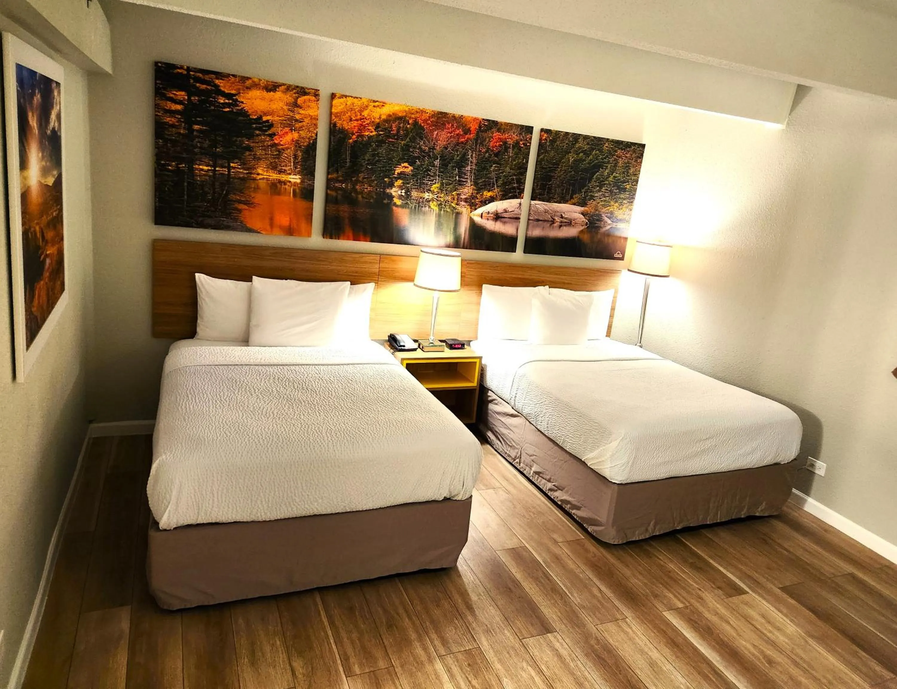 Bed in Days Inn by Wyndham Denver Downtown