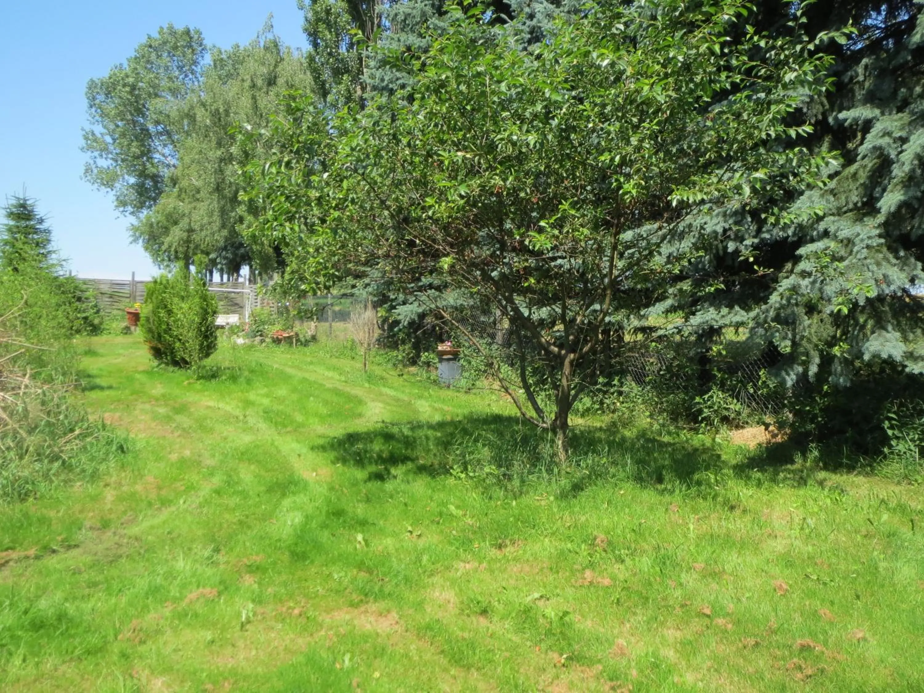 Garden in Hotel Vinum