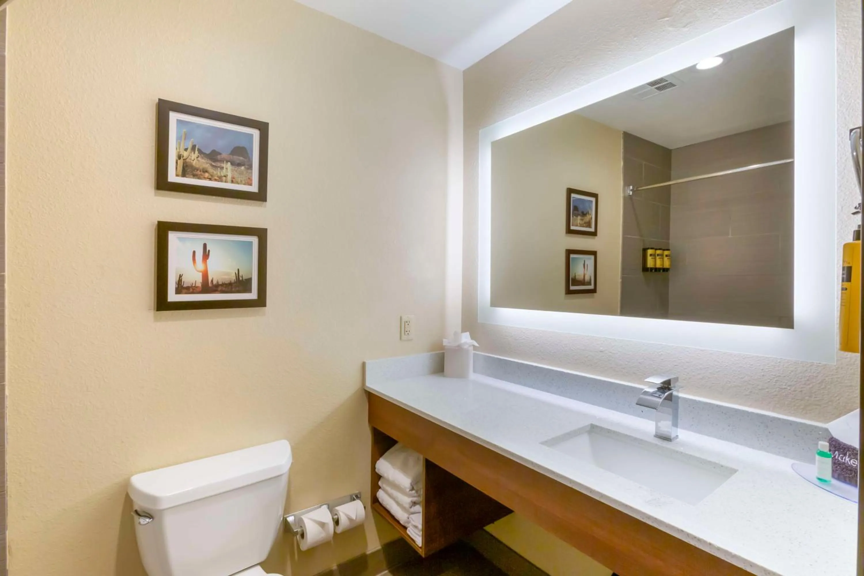 Bathroom in Best Western Plus Surprise-Phoenix NW