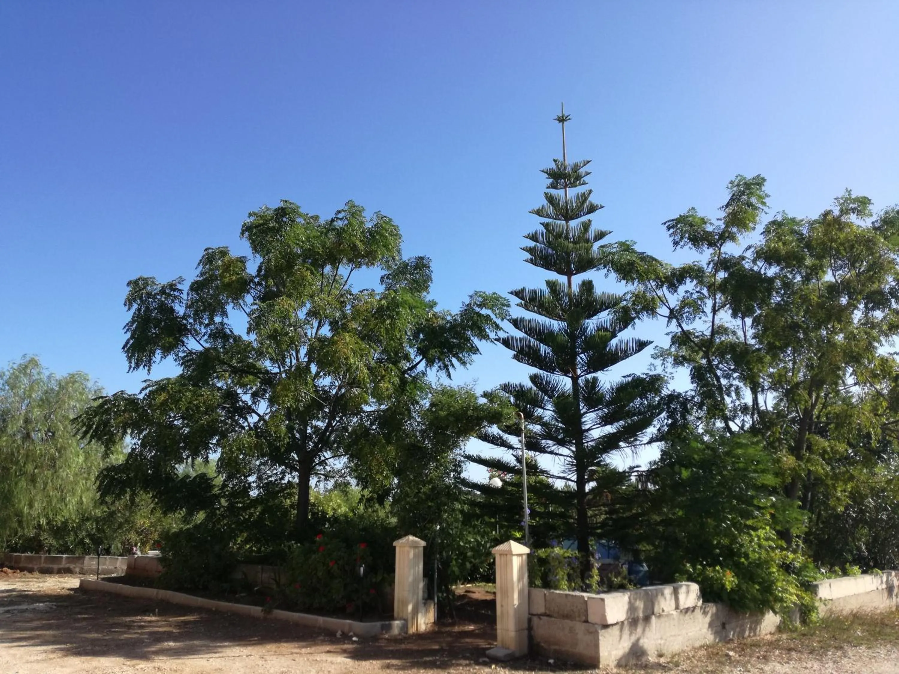 La Lanterna delle Fate