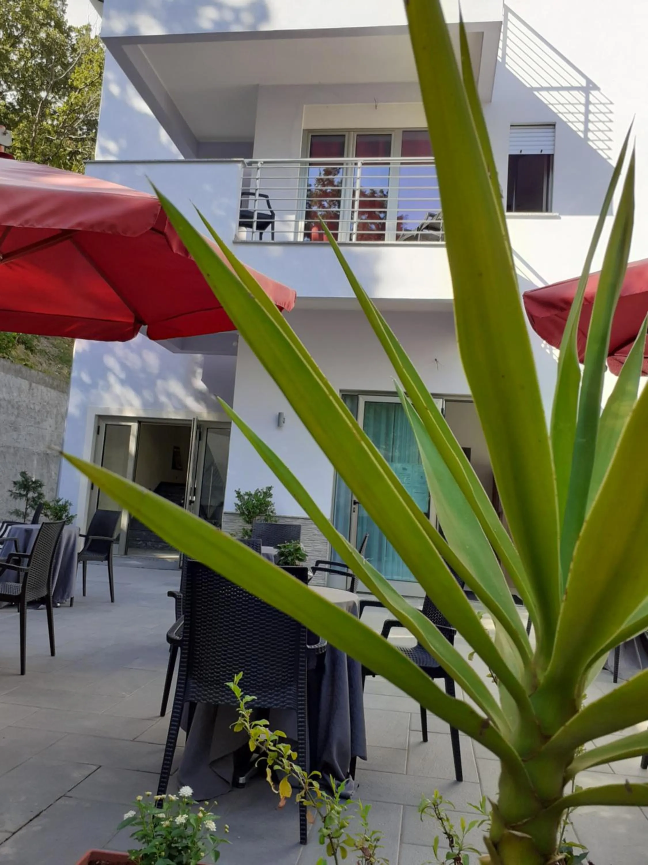 Balcony/Terrace in Hotel Rodian