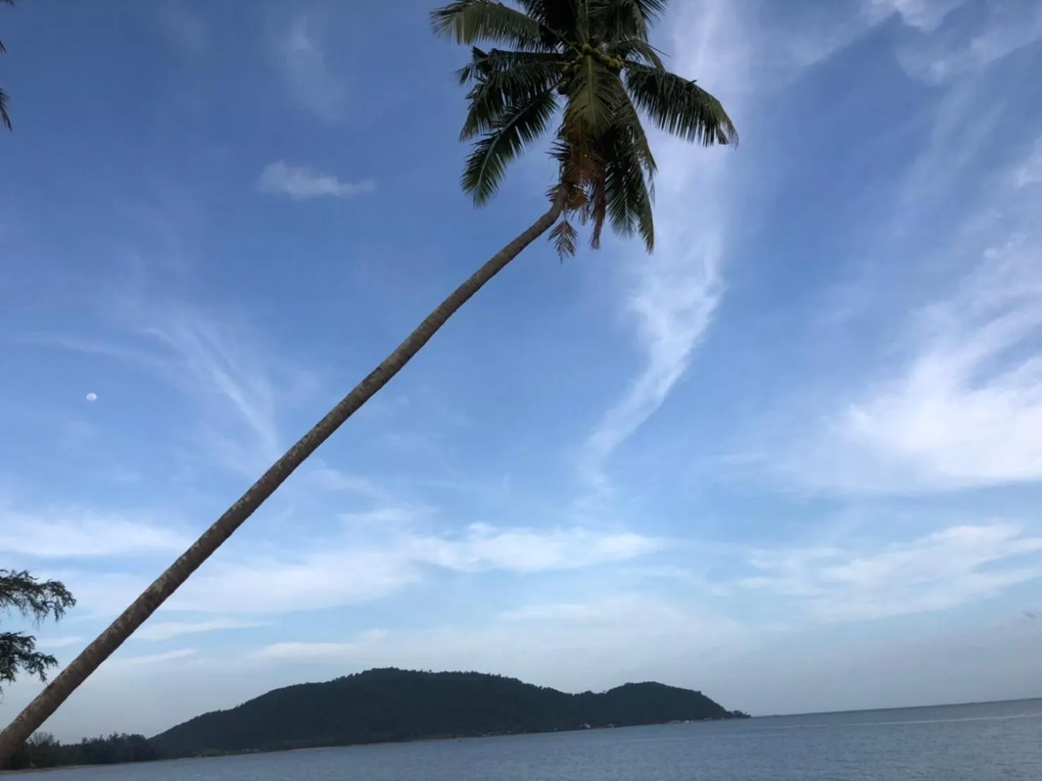 Natural landscape in Sailom Resort Bangsaphan