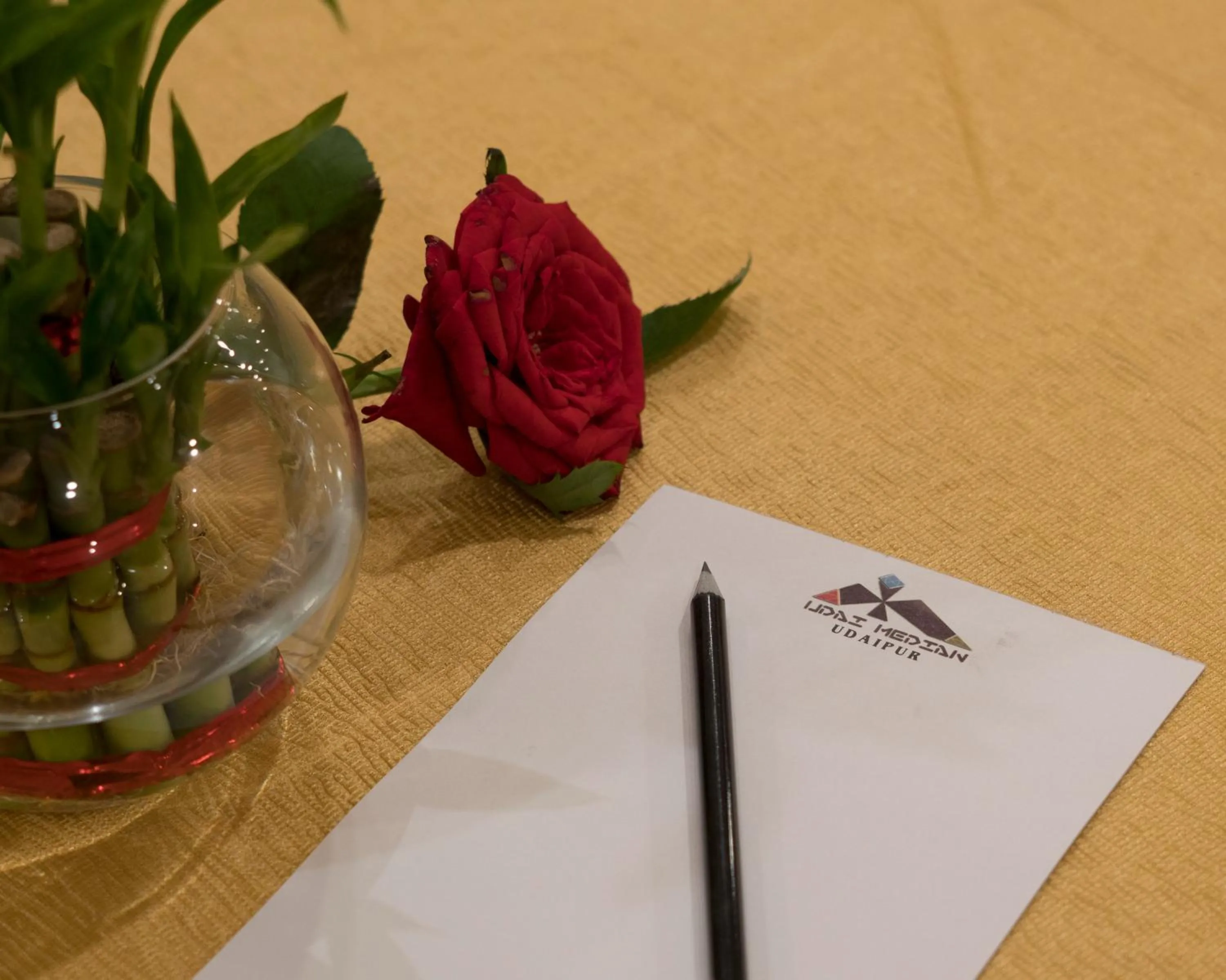 Business facilities in Hotel Udai Median