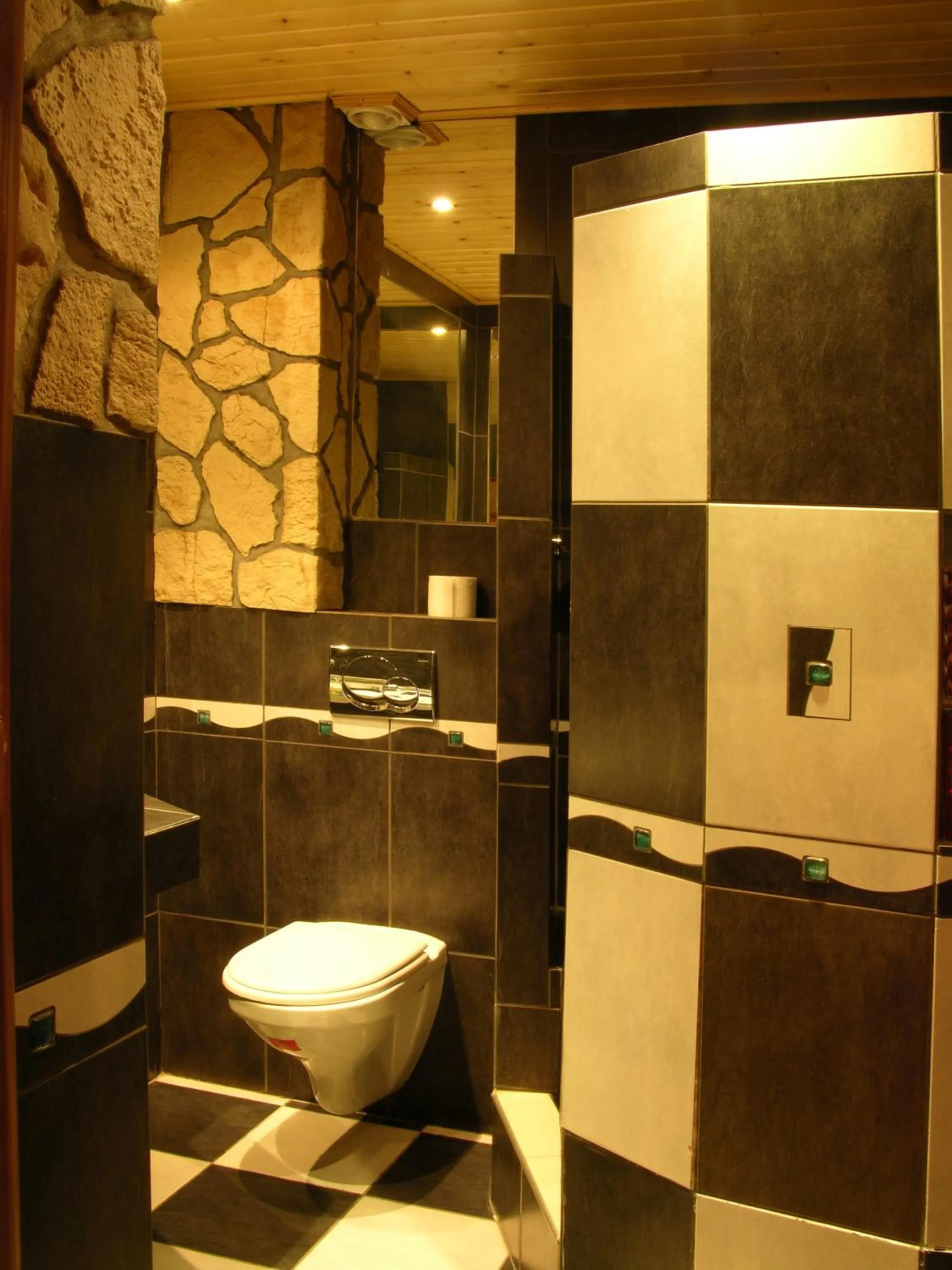 Toilet in Wisła Mountain SPA