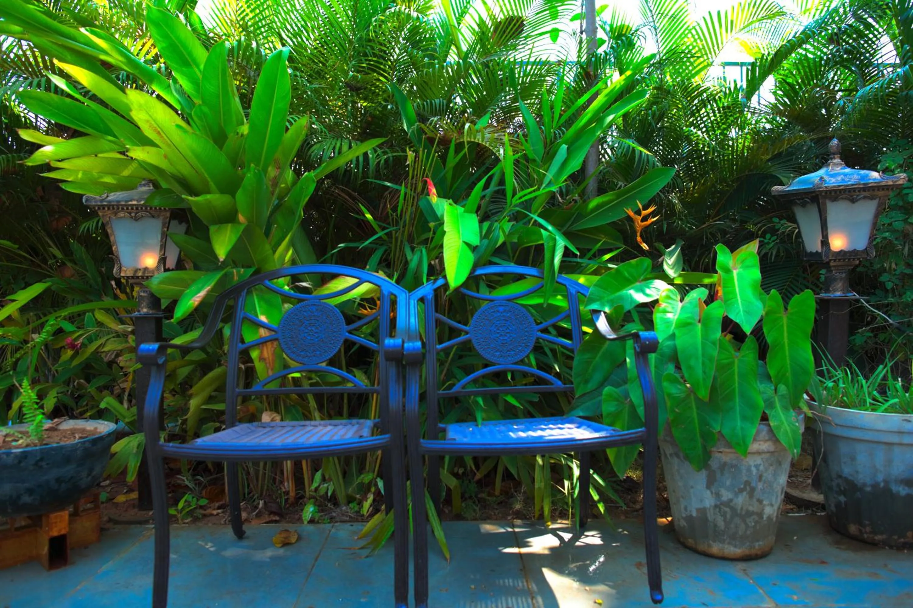 Garden in Hotel Villa Highnest - Oragadam -Sriperumbudur